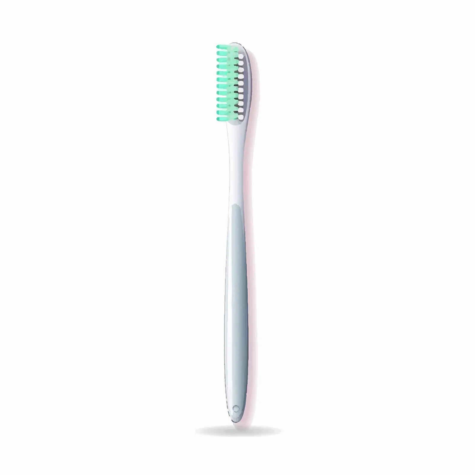 Tooth Brush Vector Illustration on White Background — free download from Dotvec