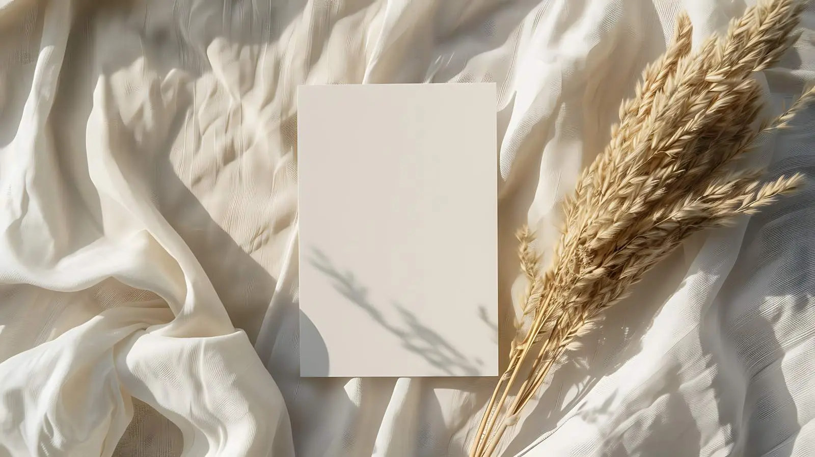 Top View of Blank Paper Cards with Space – free above image from Dotvec