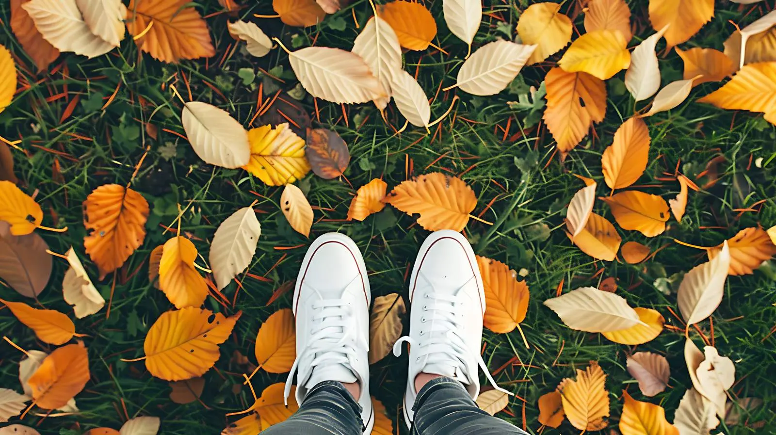 Person in White Sneakers on Autumn Leaves — free download from Dotvec
