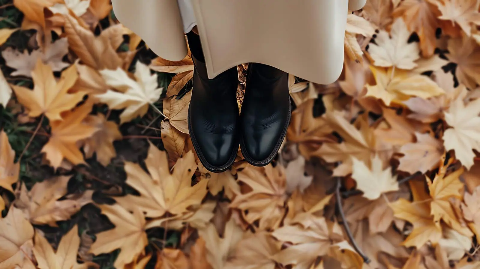 Top View of Woman in Stylish Outfit — free download from Dotvec