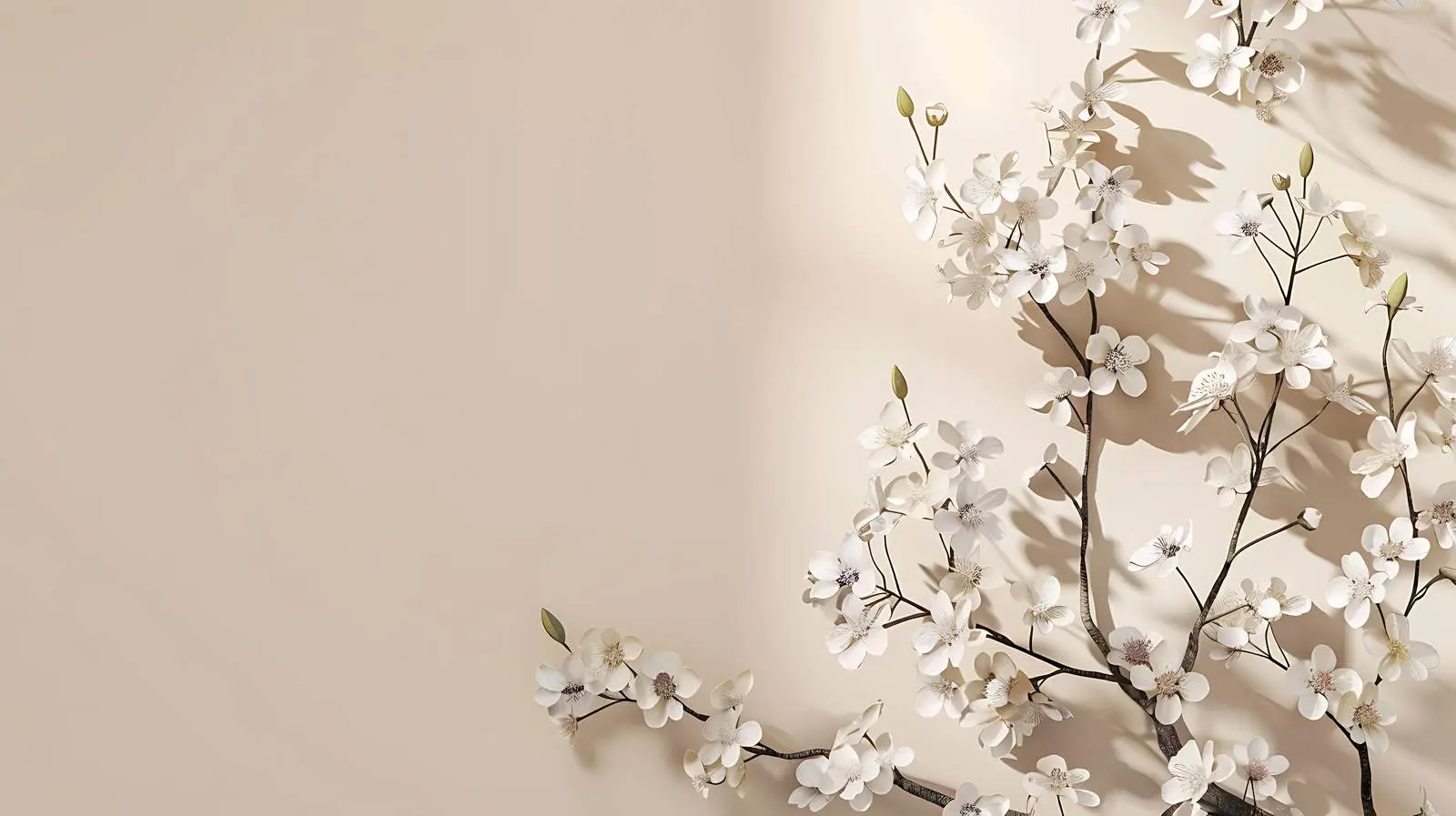 Tree Branch with Flowers on Beige Wall — free download from Dotvec