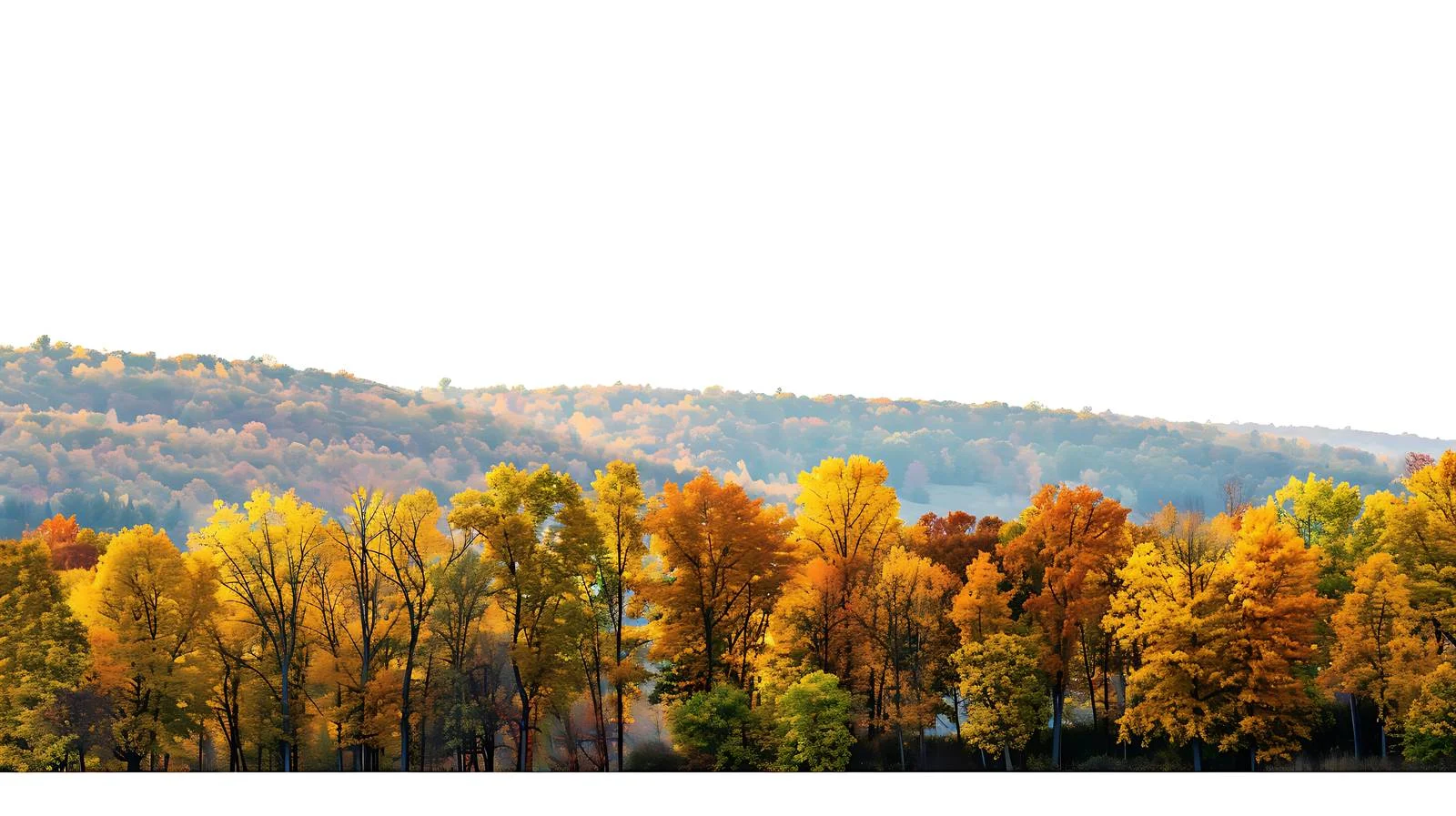 Vibrant Fall Foliage Surrounding Serene Lake — free download from Dotvec