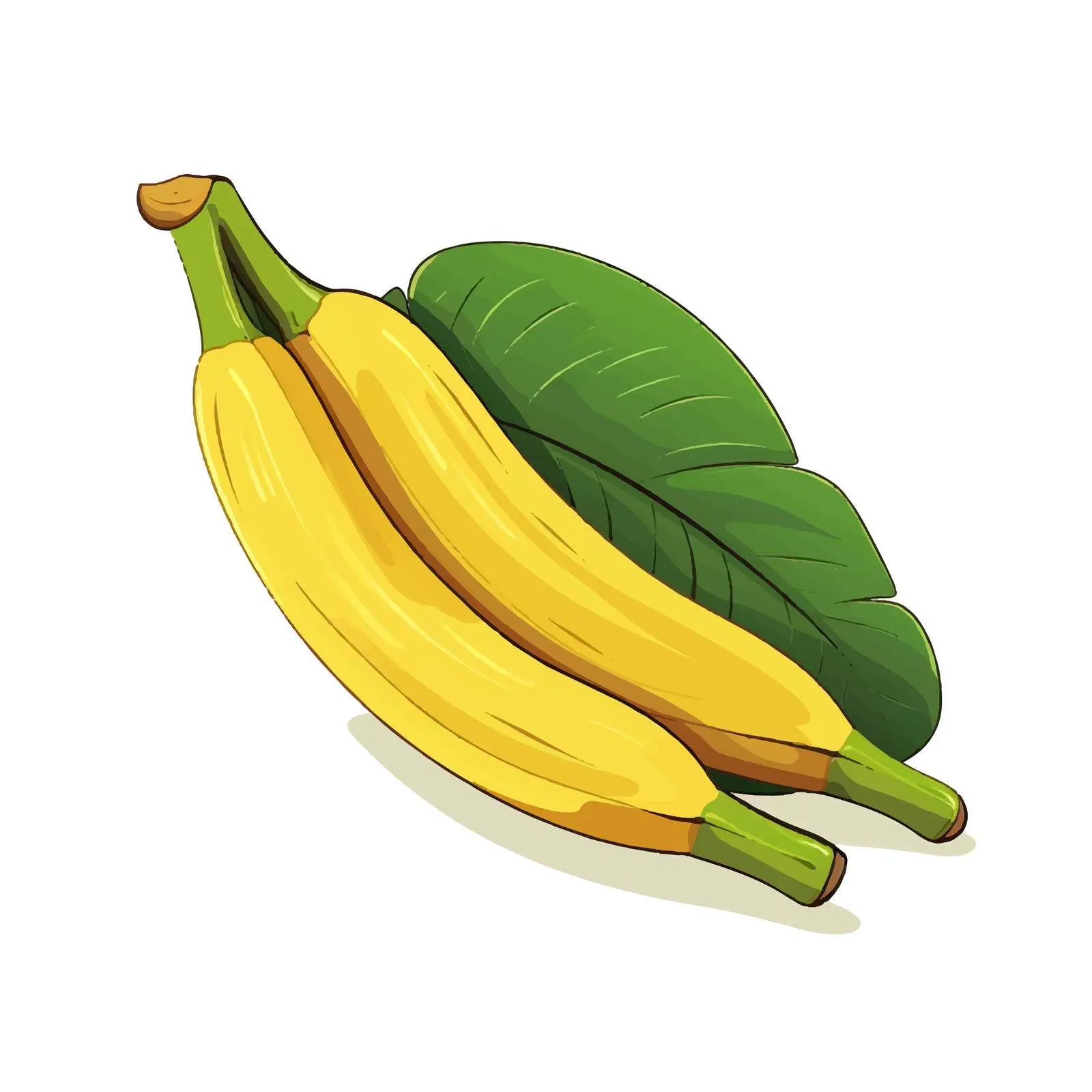 Tropical Exotic Banana Fruit Cartoon Vector Illustration — free download from Dotvec