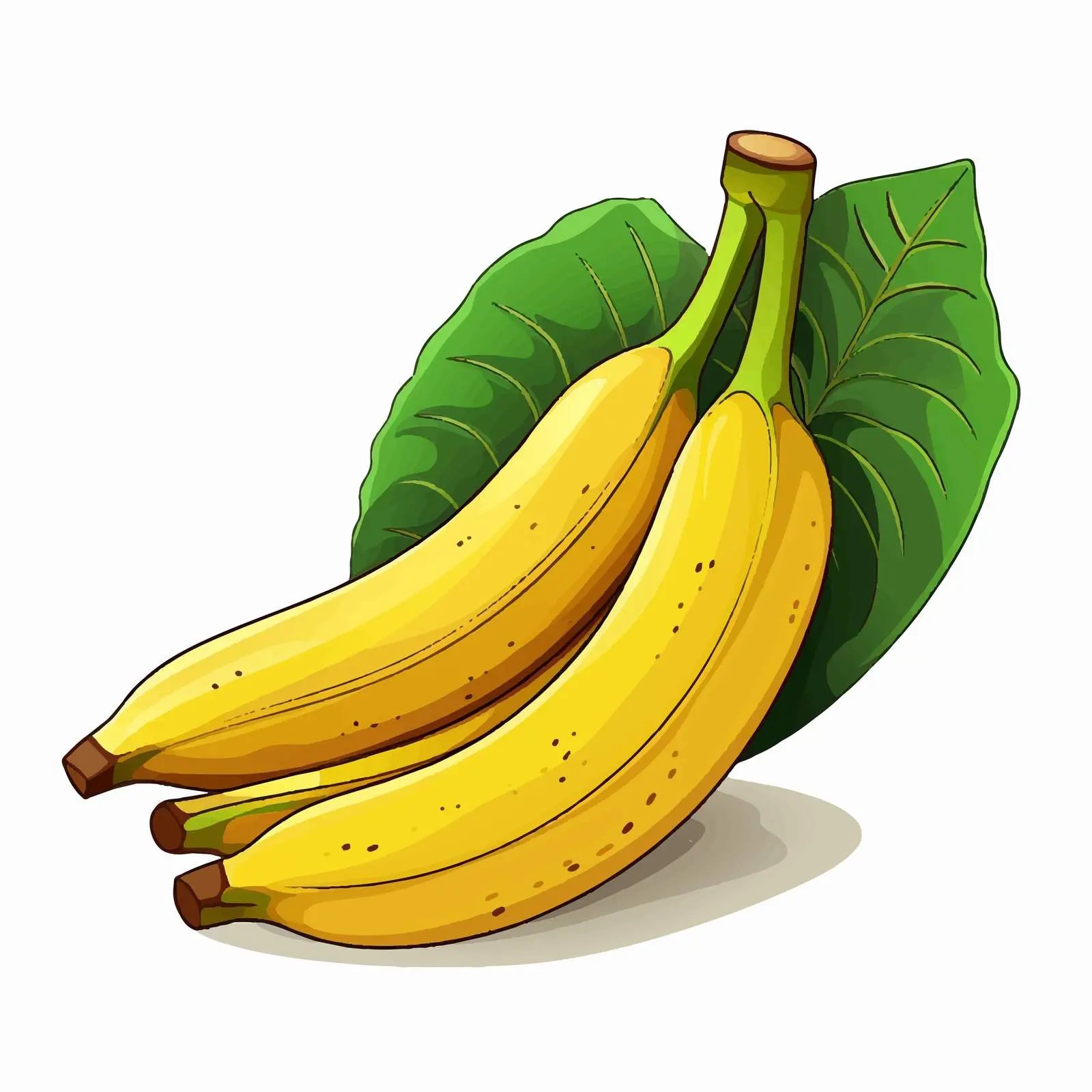Tropical Exotic Banana Cartoon Vector Illustration — free download from Dotvec