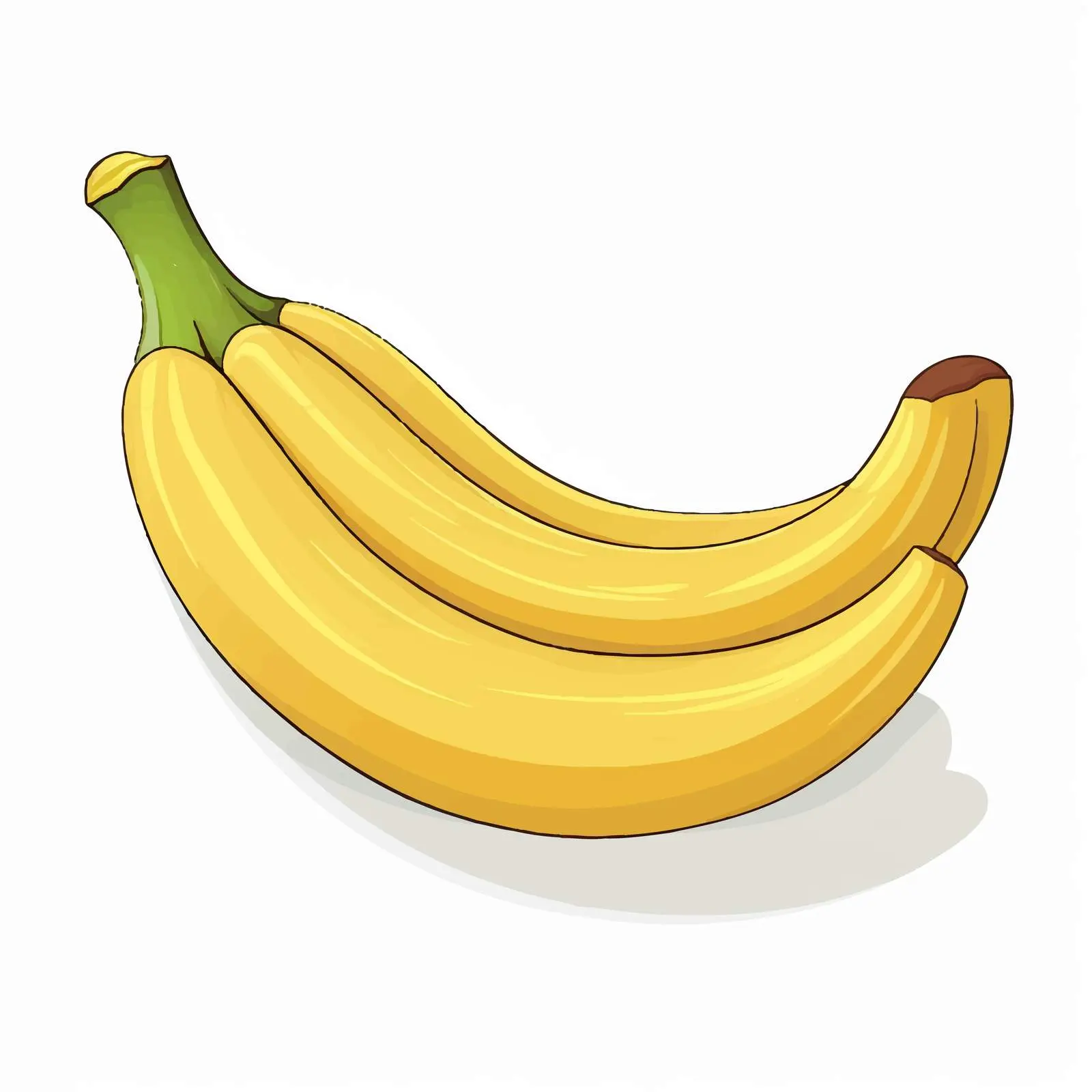 Tropical Exotic Banana Fruit Vector Illustration – free anas image from Dotvec