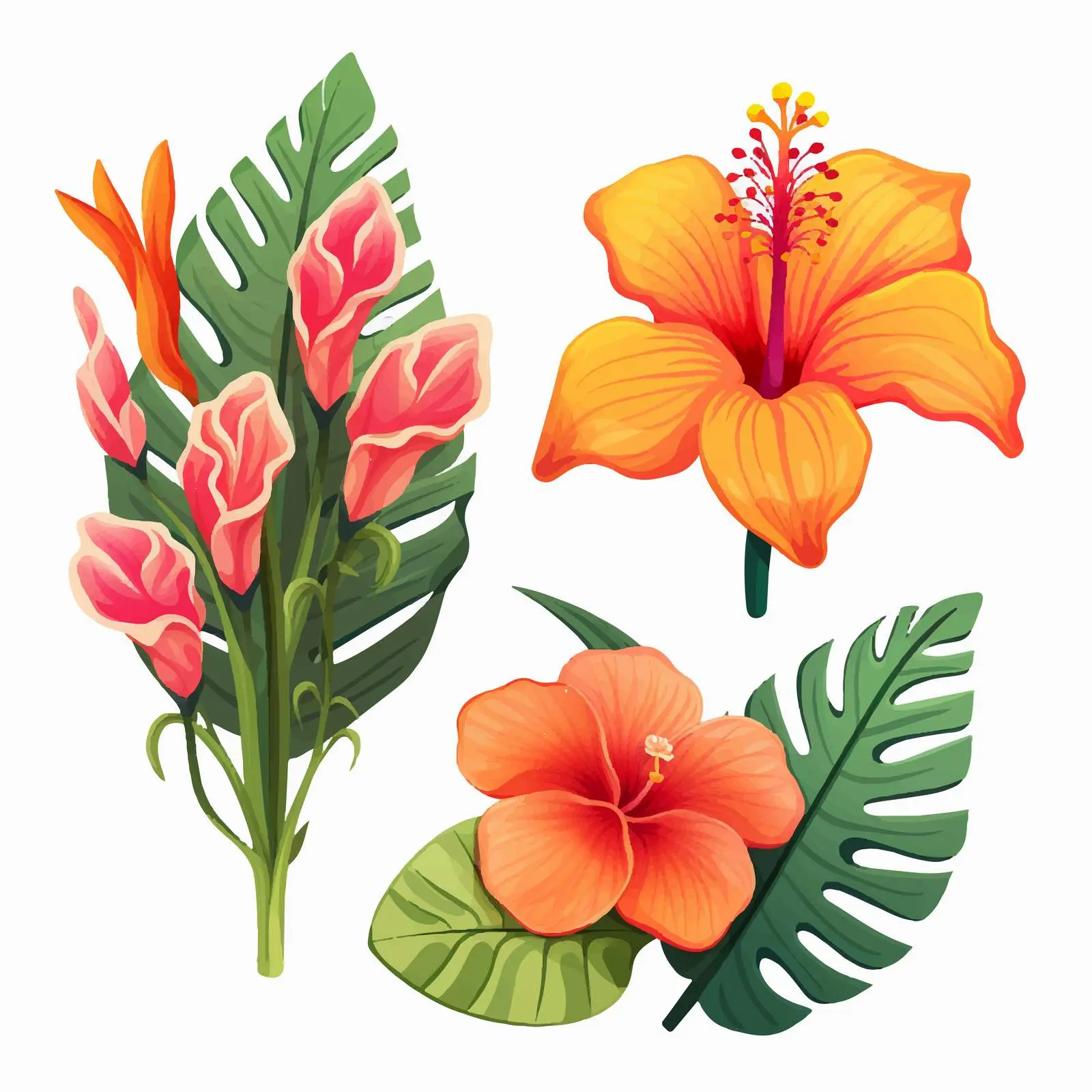 Tropical Exotic Flower Cartoon Vector Illustration – free stylized plants image from Dotvec