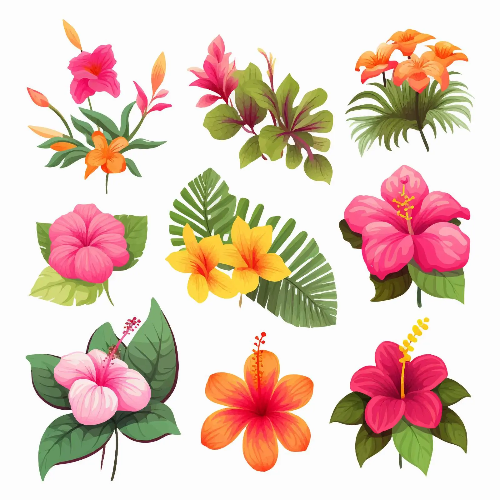 Tropical Exotic Flowers and Leaves Vector Illustration — free download from Dotvec