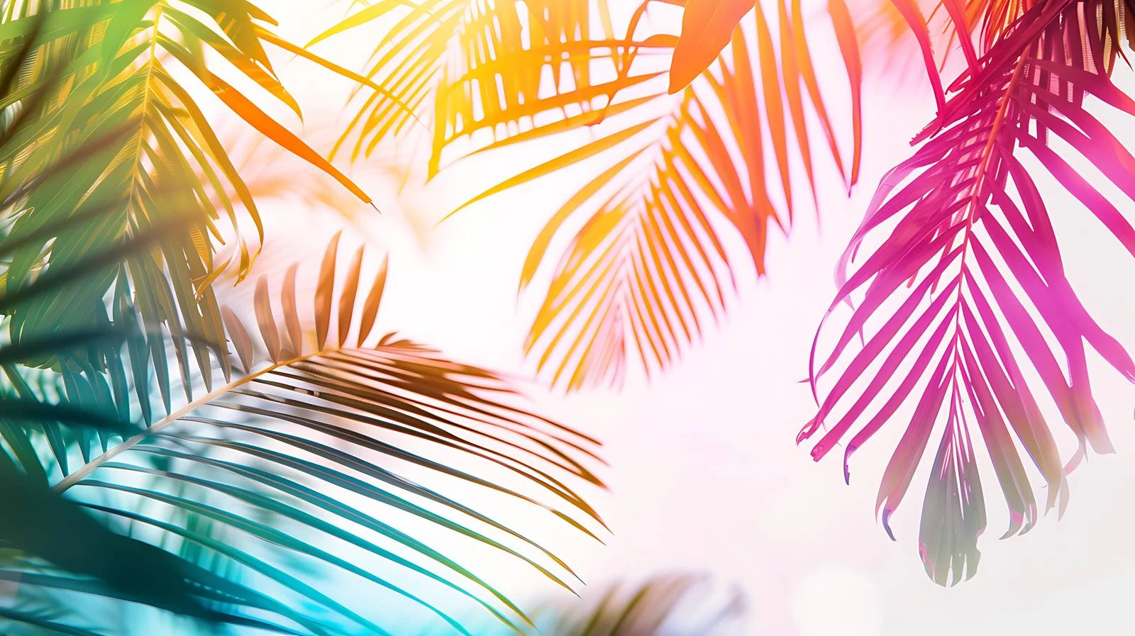 Vibrant Tropical Background — free download from Dotvec
