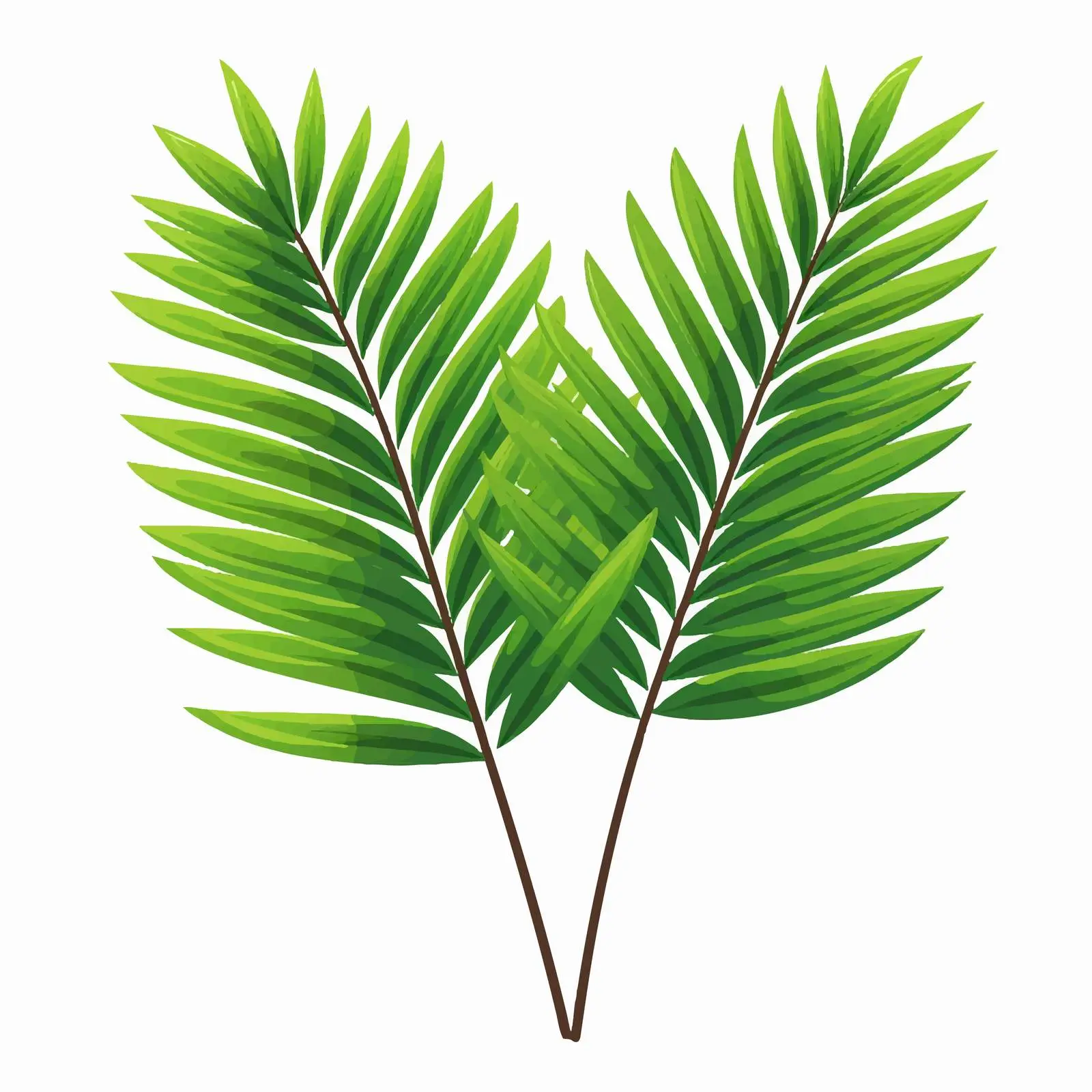 Tropical Exotic Green Leaf Vectors — free download from Dotvec