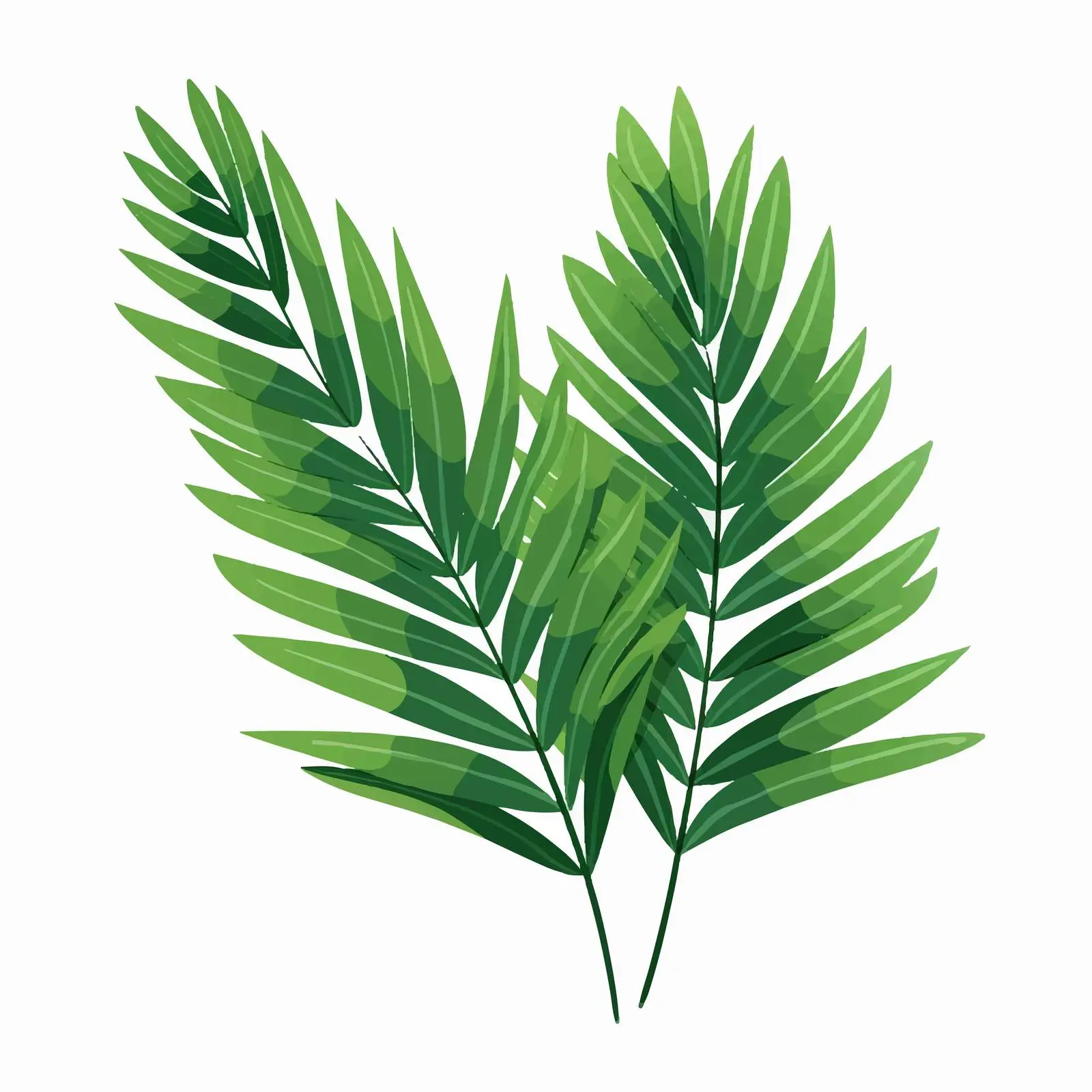Tropical Exotic Green Leaf Botanical Illustration — free download from Dotvec