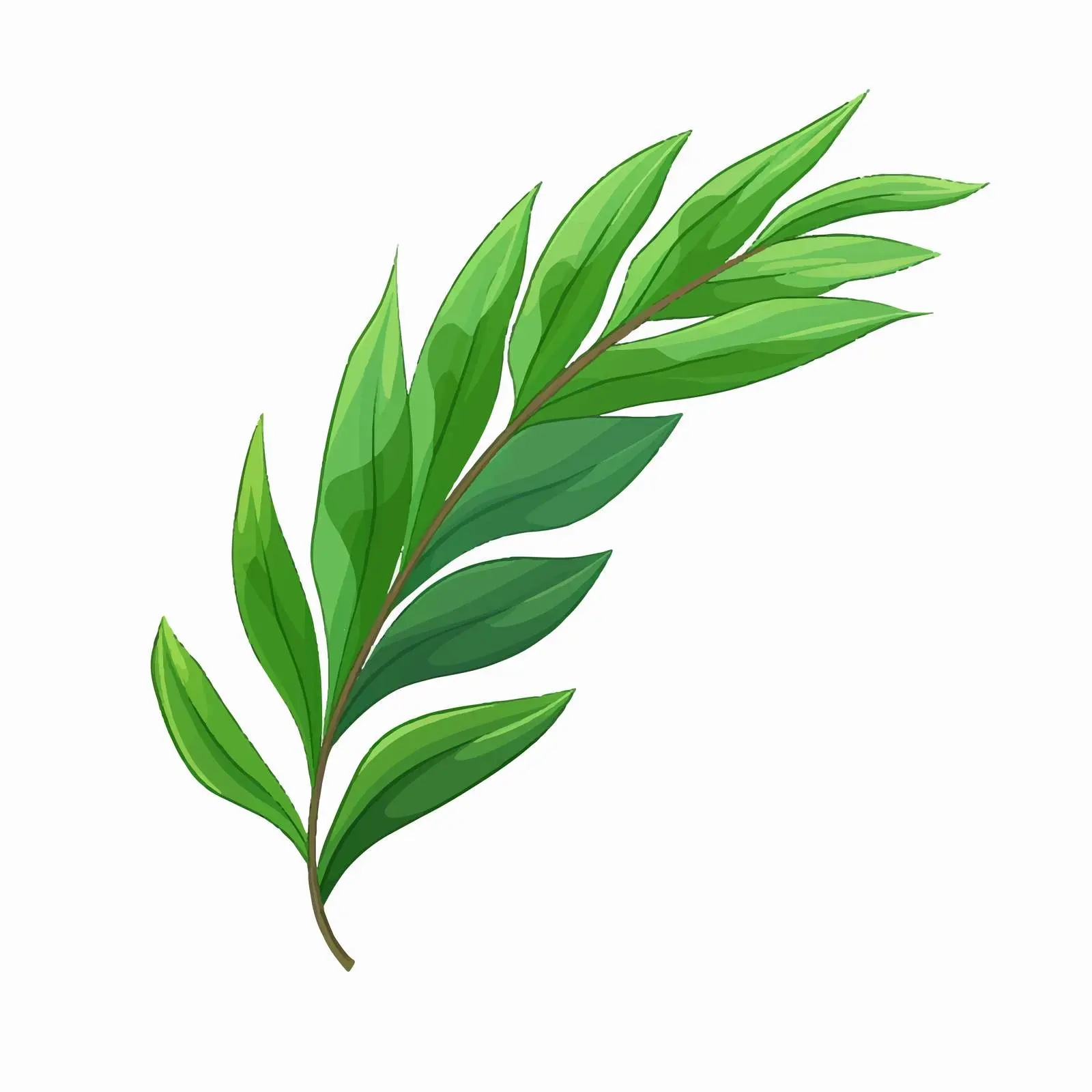 Lush Tropical Leaf Plant Vector Illustration – free botanical graphics image from Dotvec