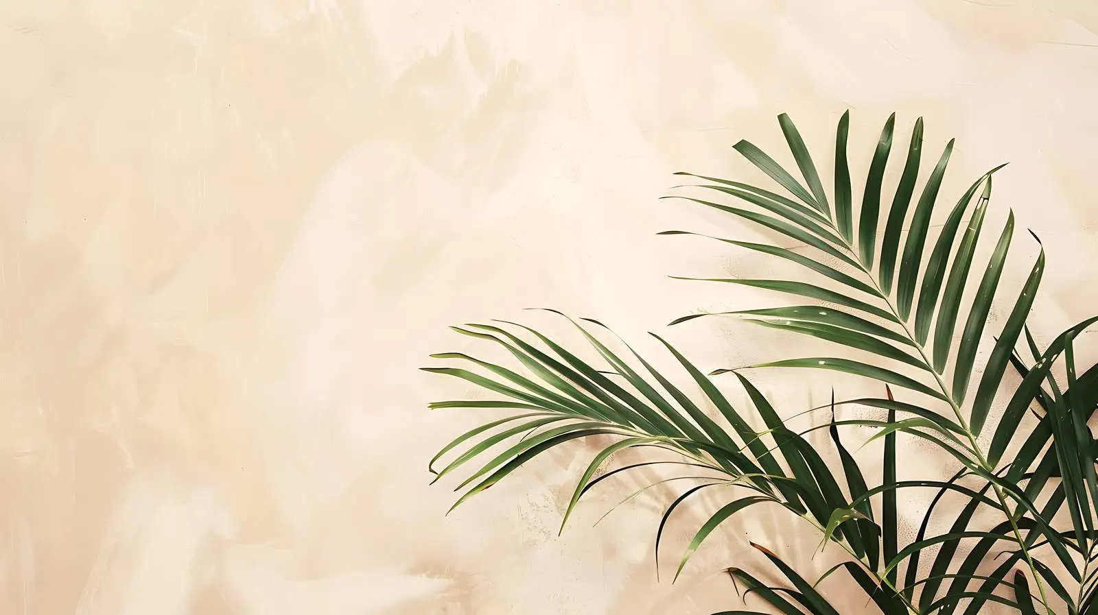 Minimalistic Tropical Palm Branches on Beige Wall — free download from Dotvec