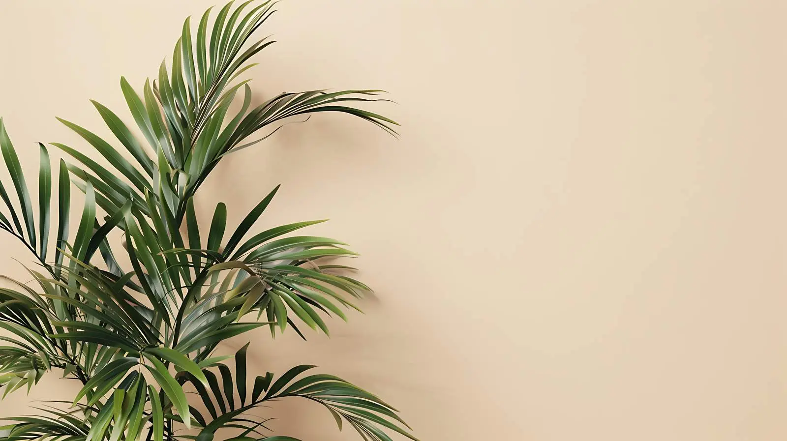 Tropical Palm Branches Against Beige Wall — free download from Dotvec