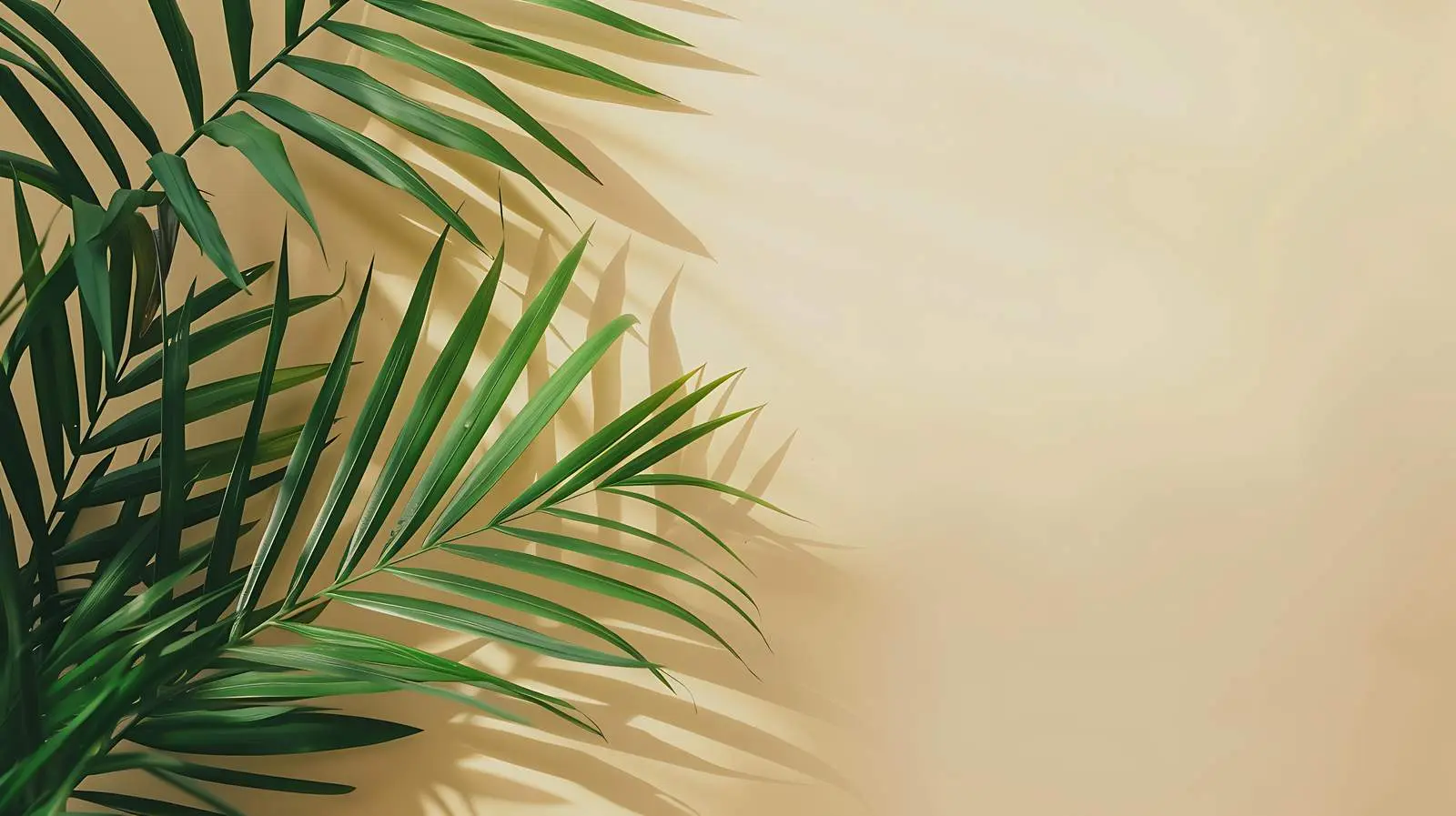 Minimalistic Tropical Palm Branches Against Beige Wall — free download from Dotvec