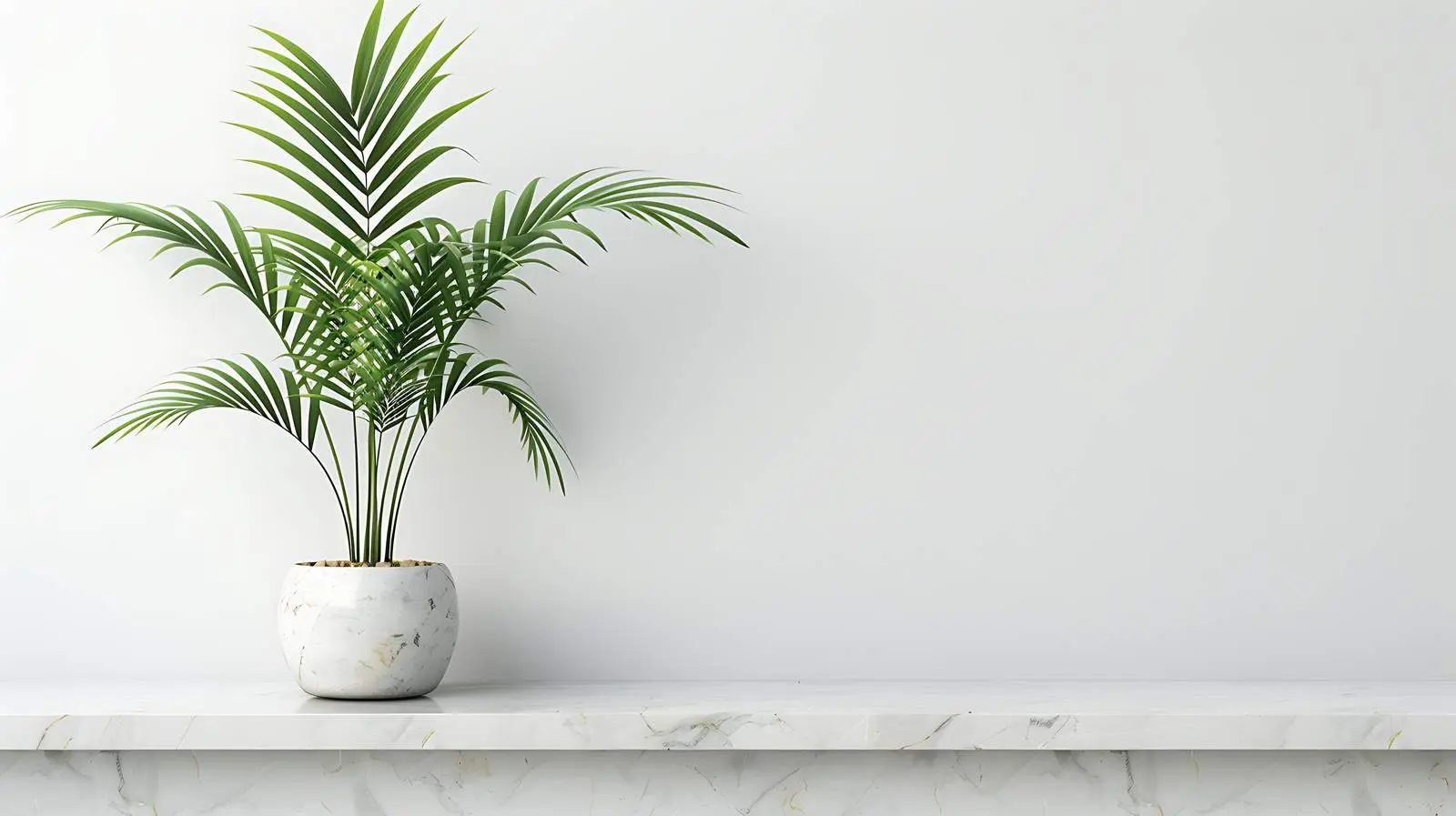 Tropical Palm Plant on Marble Side Table — free download from Dotvec