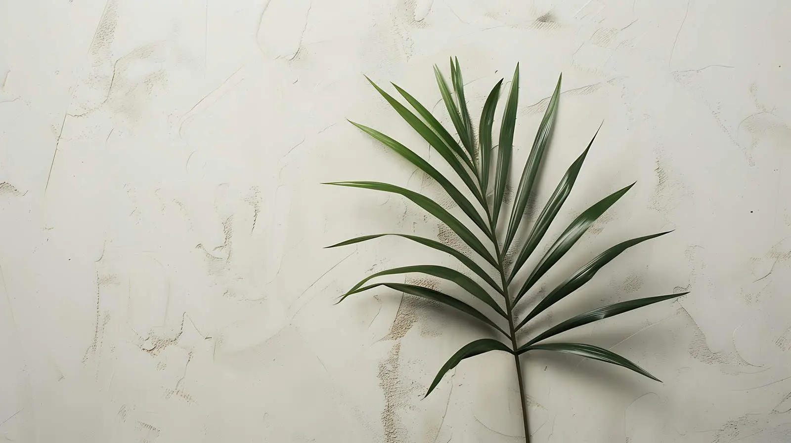 Minimalist Palm Leaf on Neutral Wall — free download from Dotvec