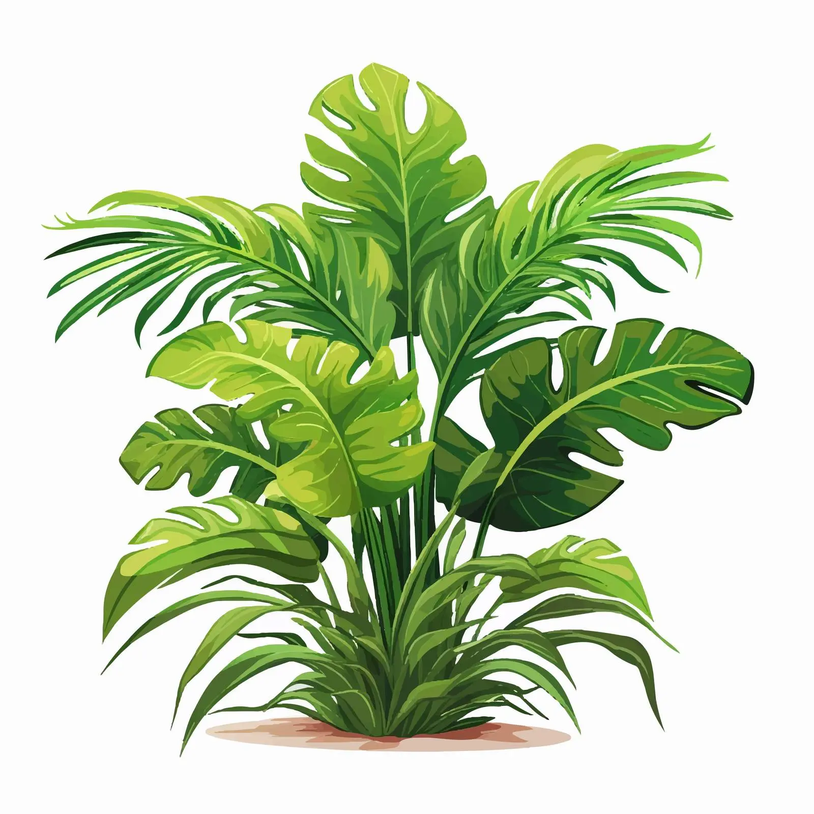 Tropical Plant Illustration on Transparent Background – free plant graphics image from Dotvec