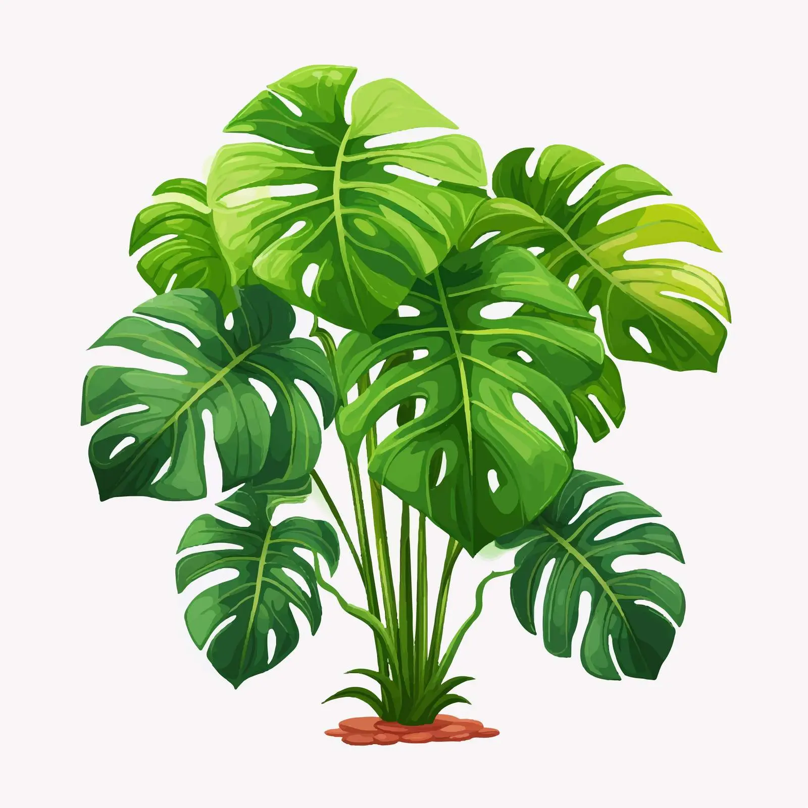 Tropical Plant Illustration on Transparent Background — free download from Dotvec