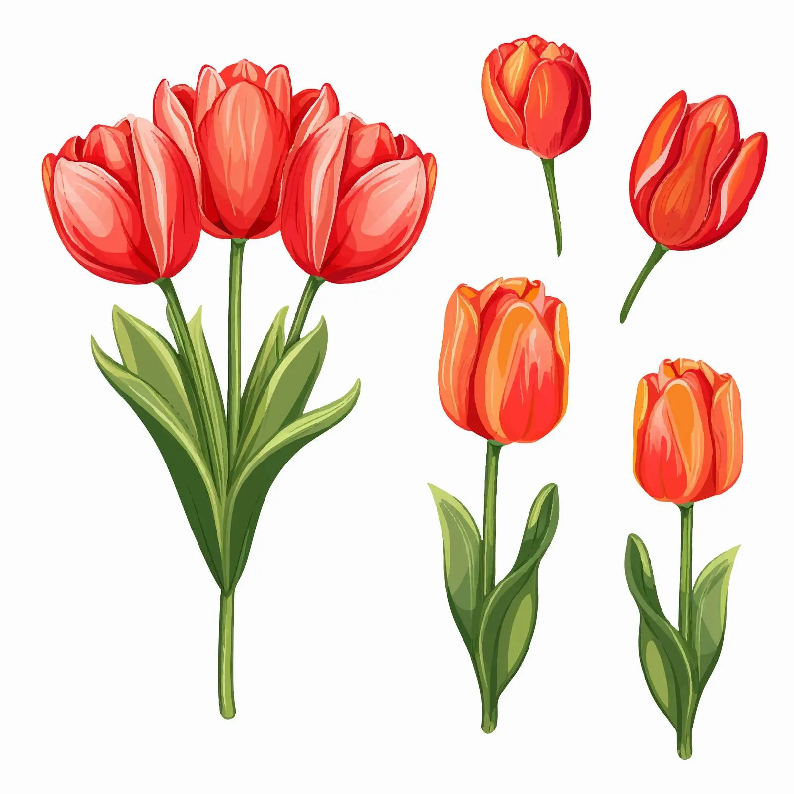 Tulip Flower Line Art Vector Illustration — free download from Dotvec