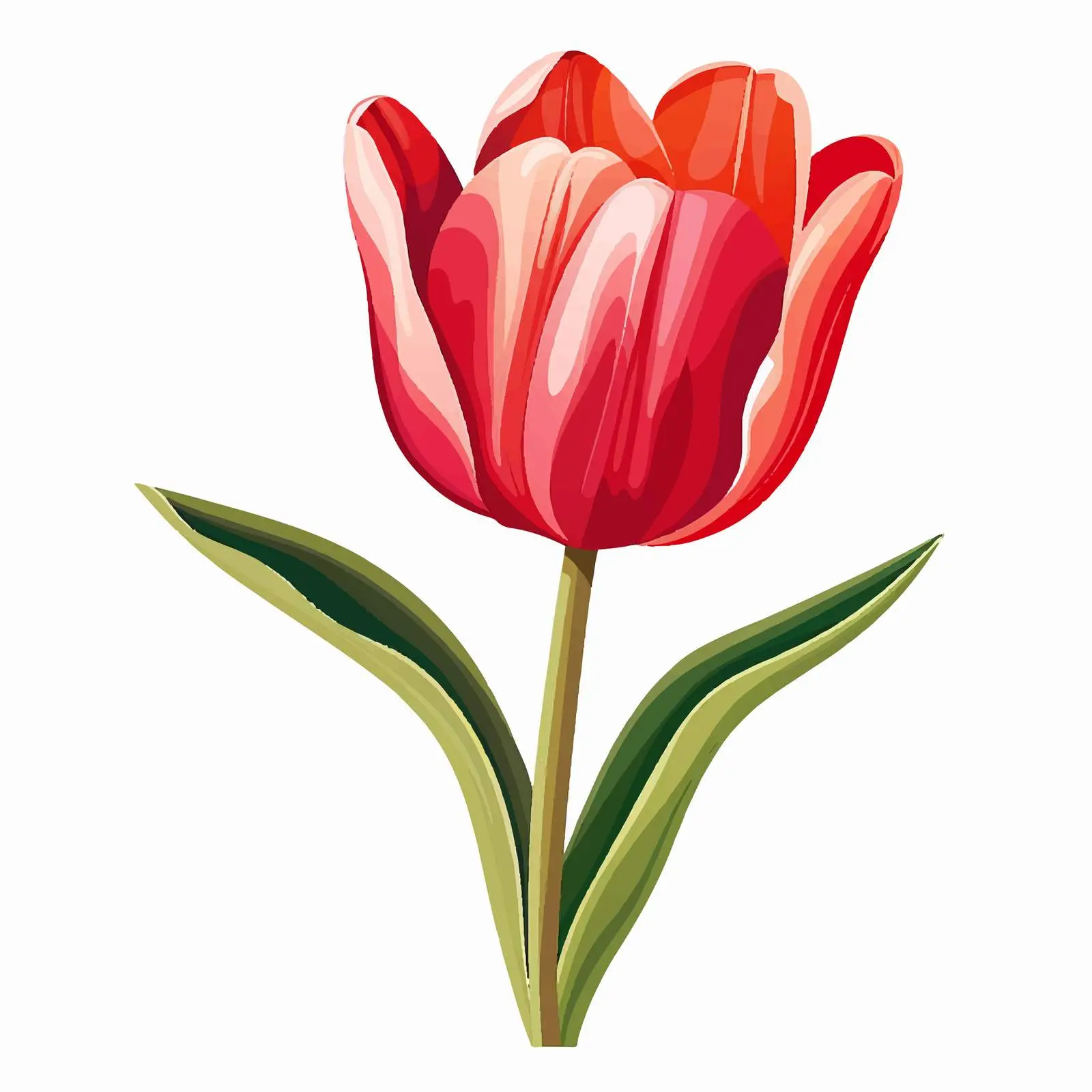 Tulip Flower Vector Illustration on White Background — free download from Dotvec