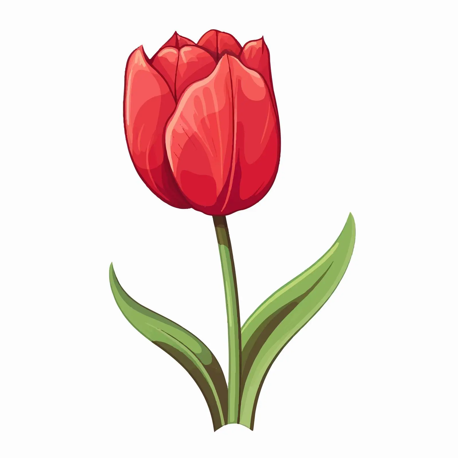 Tulip Flower Vector Illustration on White Background — free download from Dotvec