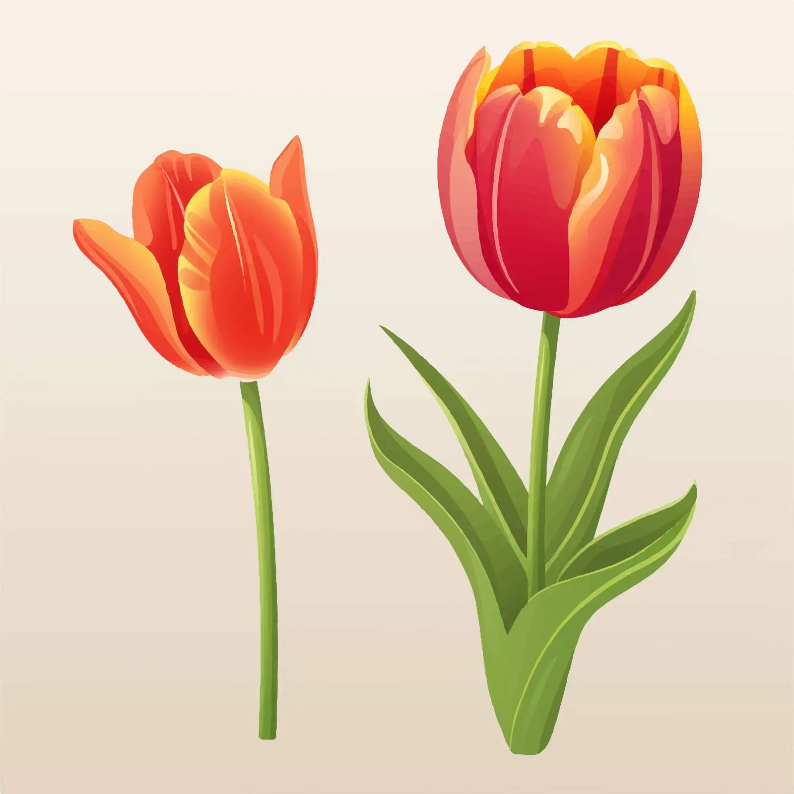 Isolated Tulip Flower Vector Illustration — free download from Dotvec