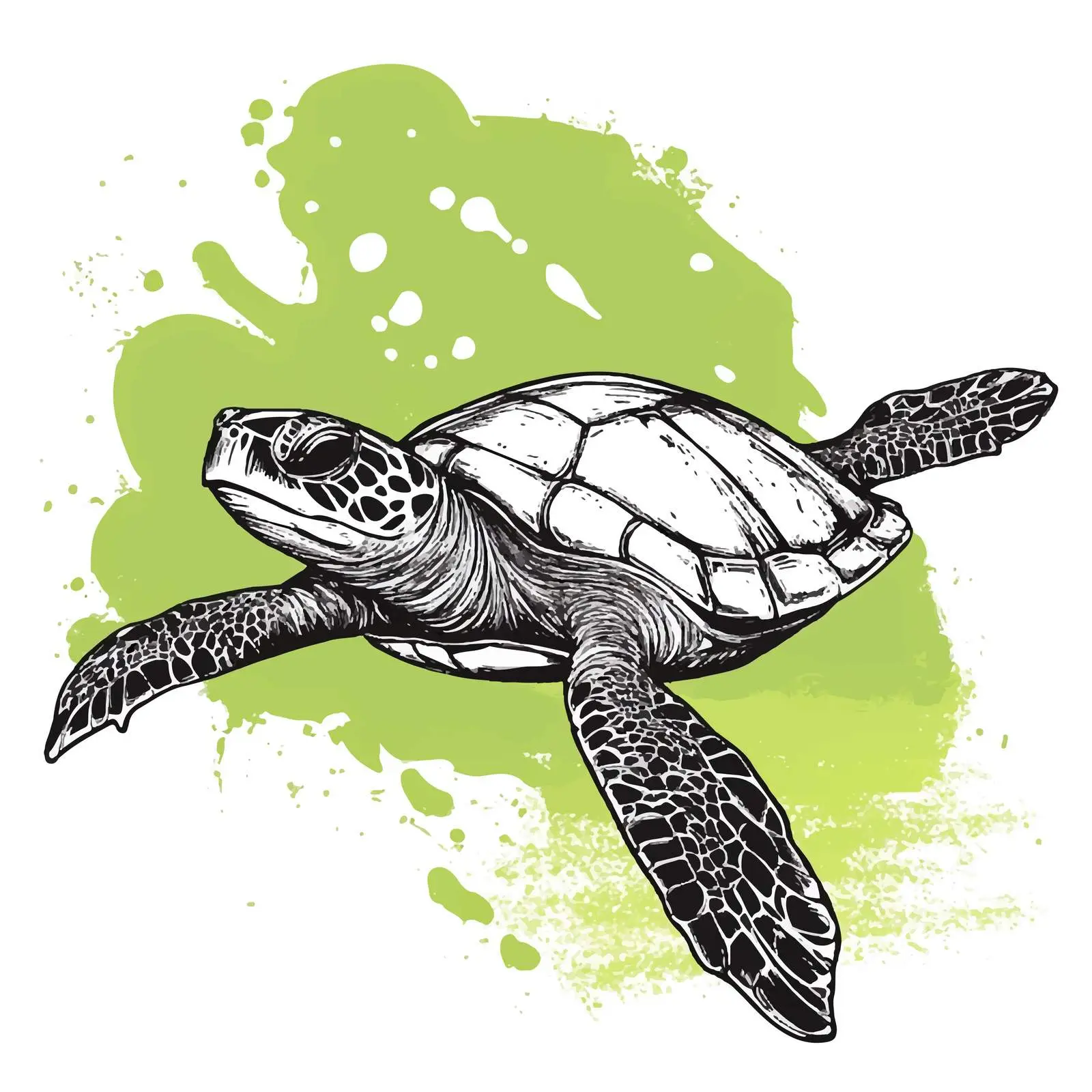 Hand-Drawn Turtle Sketch on White Background — free download from Dotvec