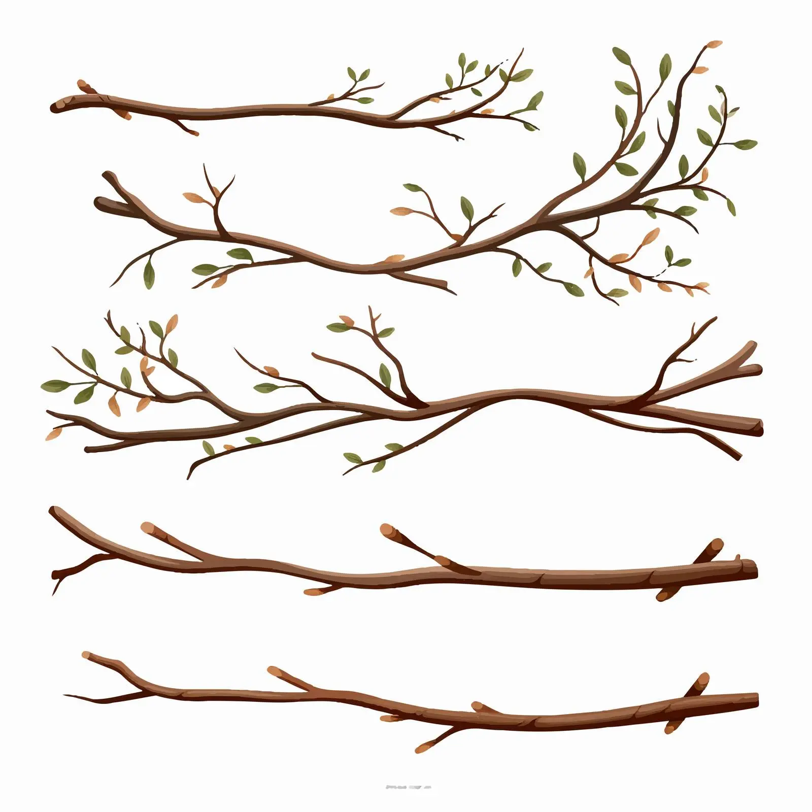 Top View Twigs Vector Illustration on White Background — free download from Dotvec