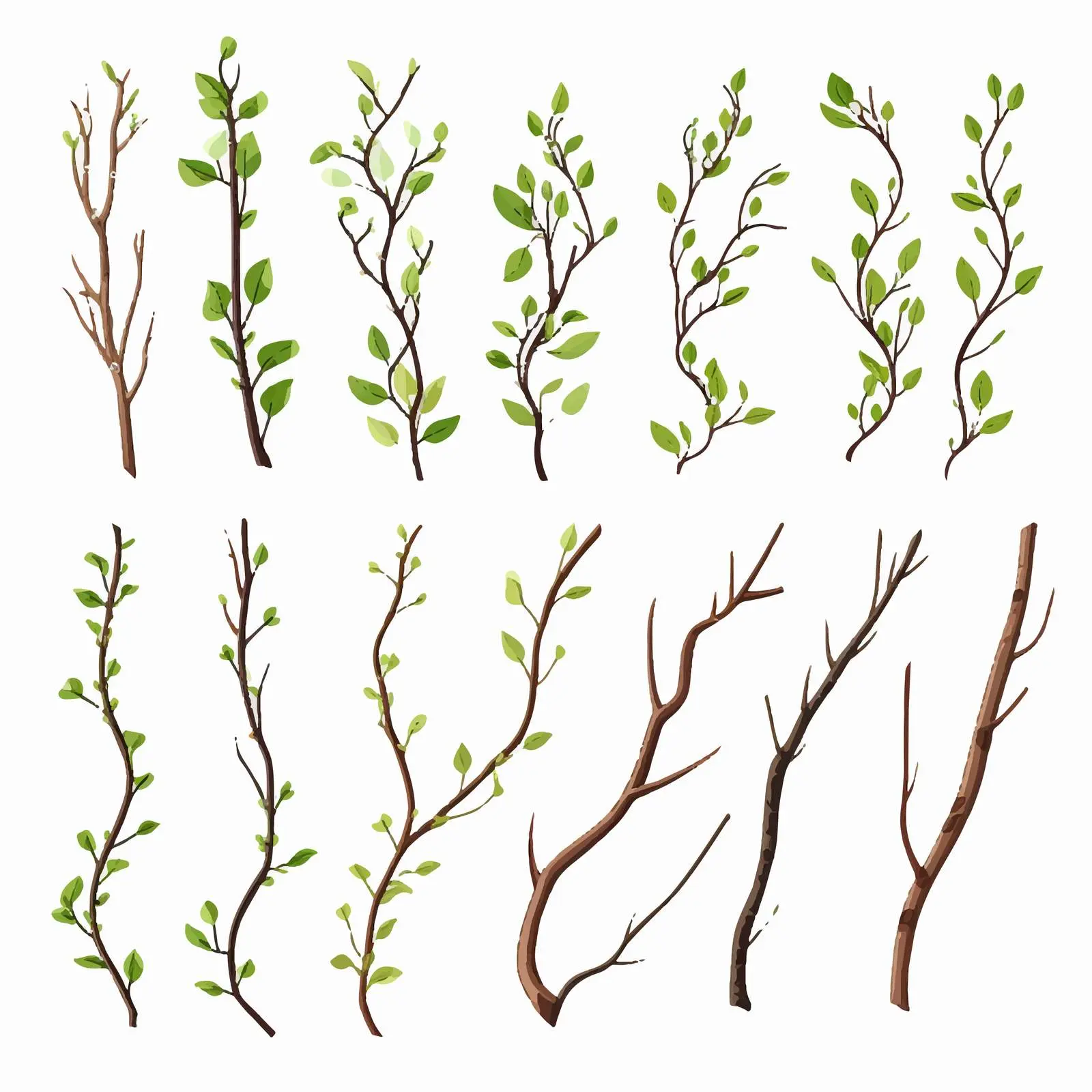 Top View Twigs Vector Illustration on White Background — free download from Dotvec