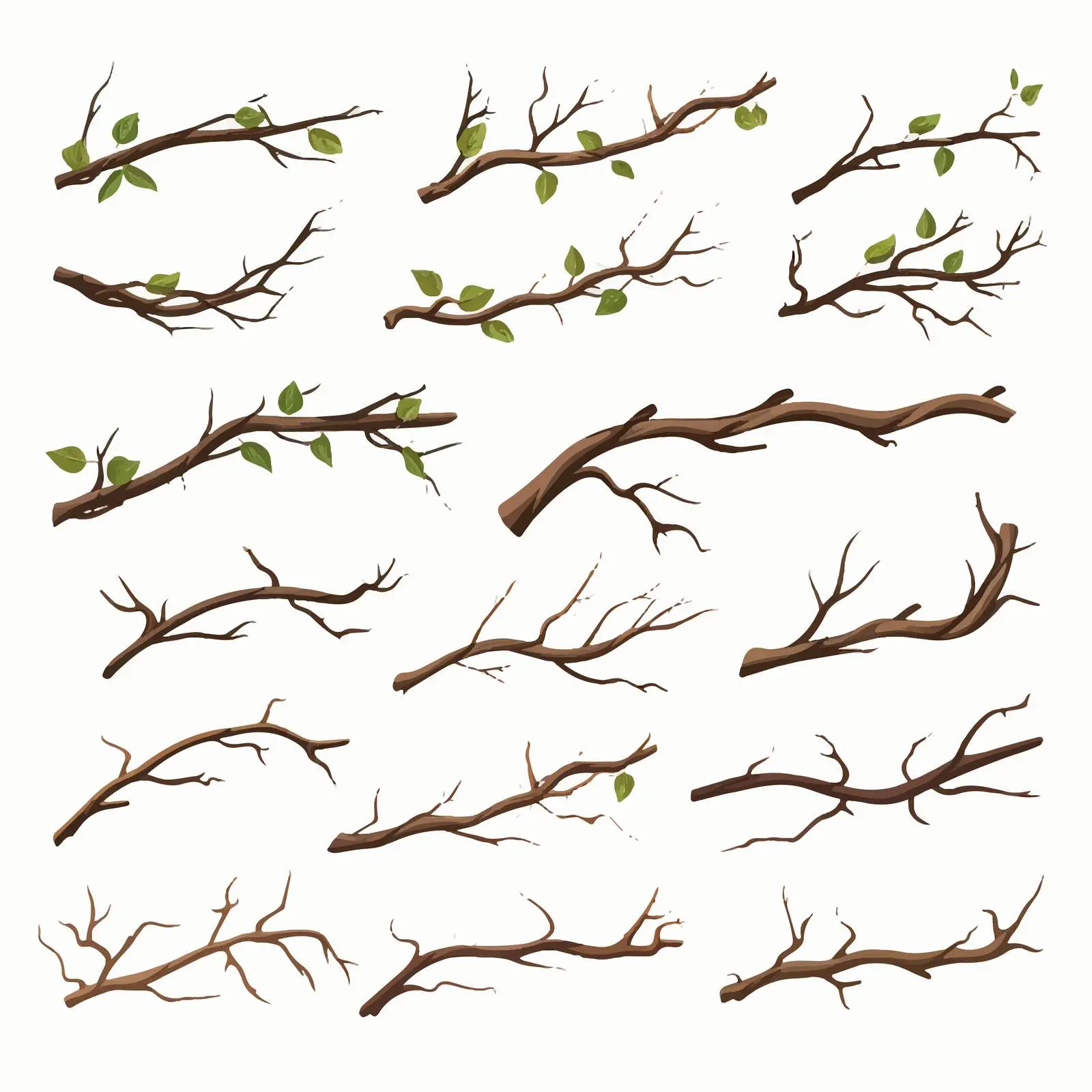 Top View Twigs Vector Illustration on White Background — free download from Dotvec
