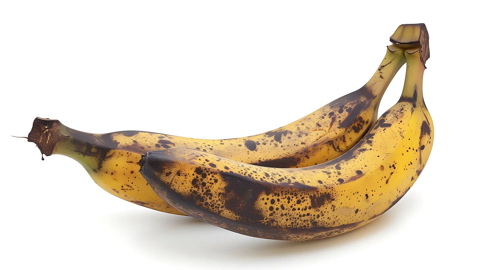 Pair of bananas on white background — free download from Dotvec