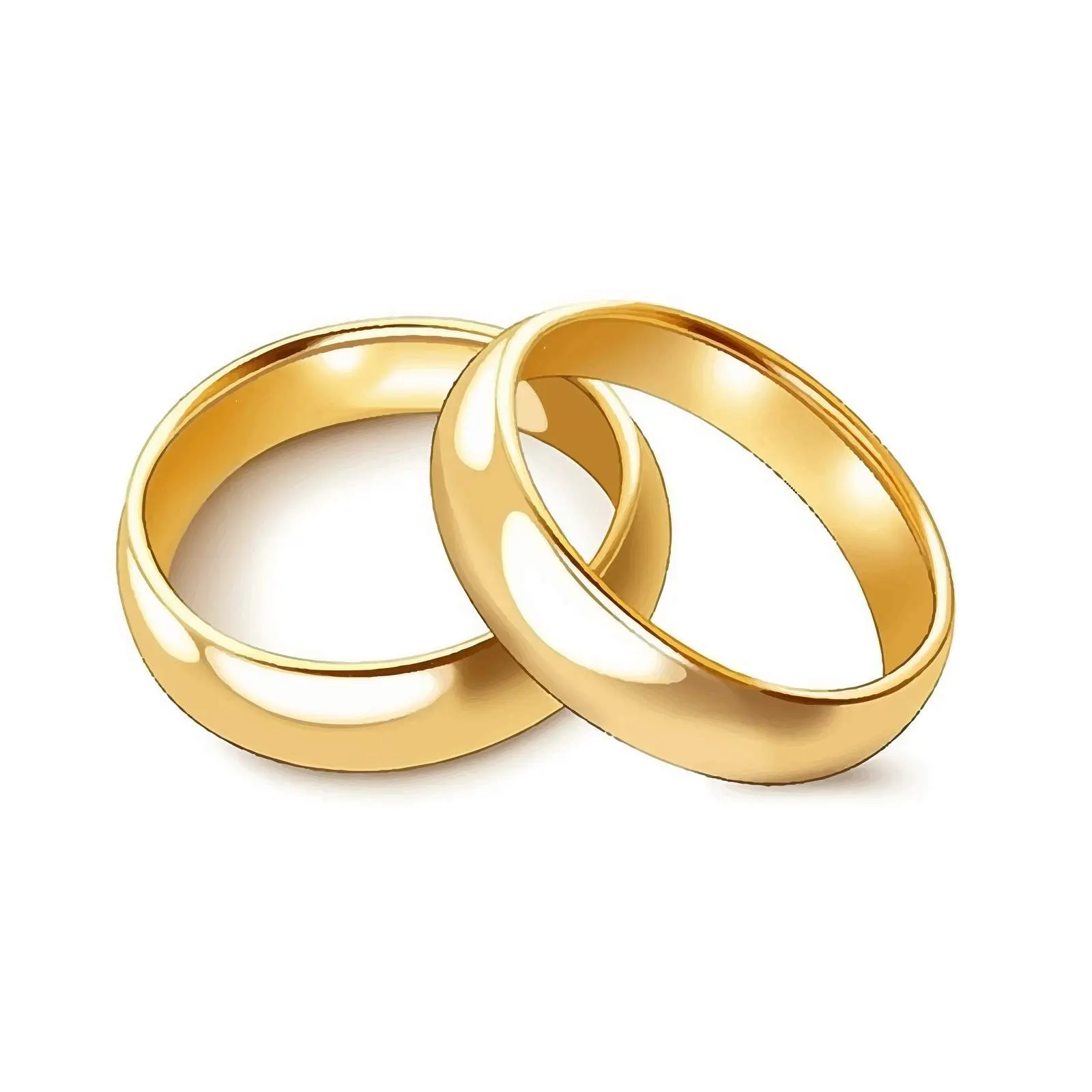 Elegant Gold Rings Vector Illustration on White Background — free download from Dotvec