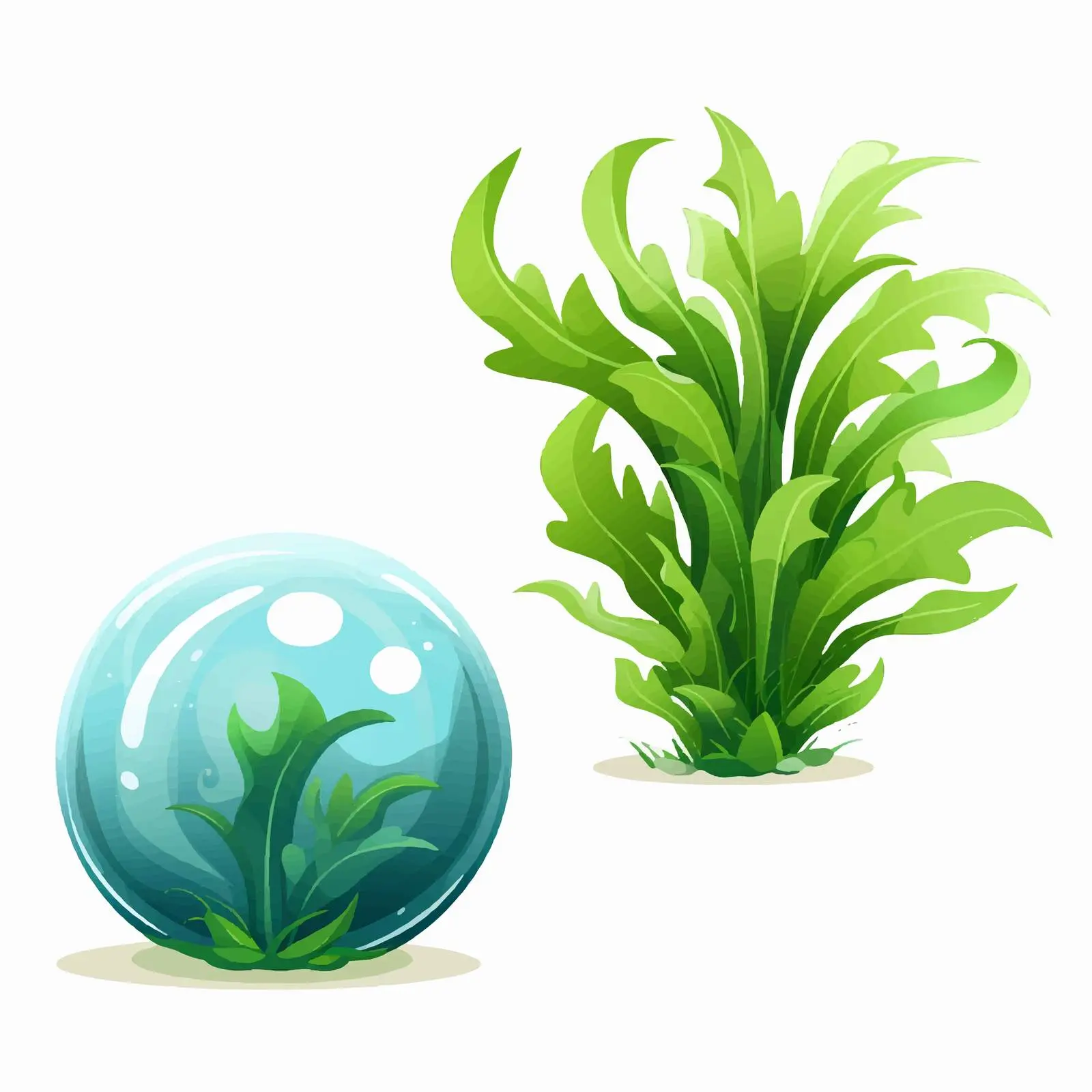 Spherical Water Plants and Algae Vector Illustration — free download from Dotvec