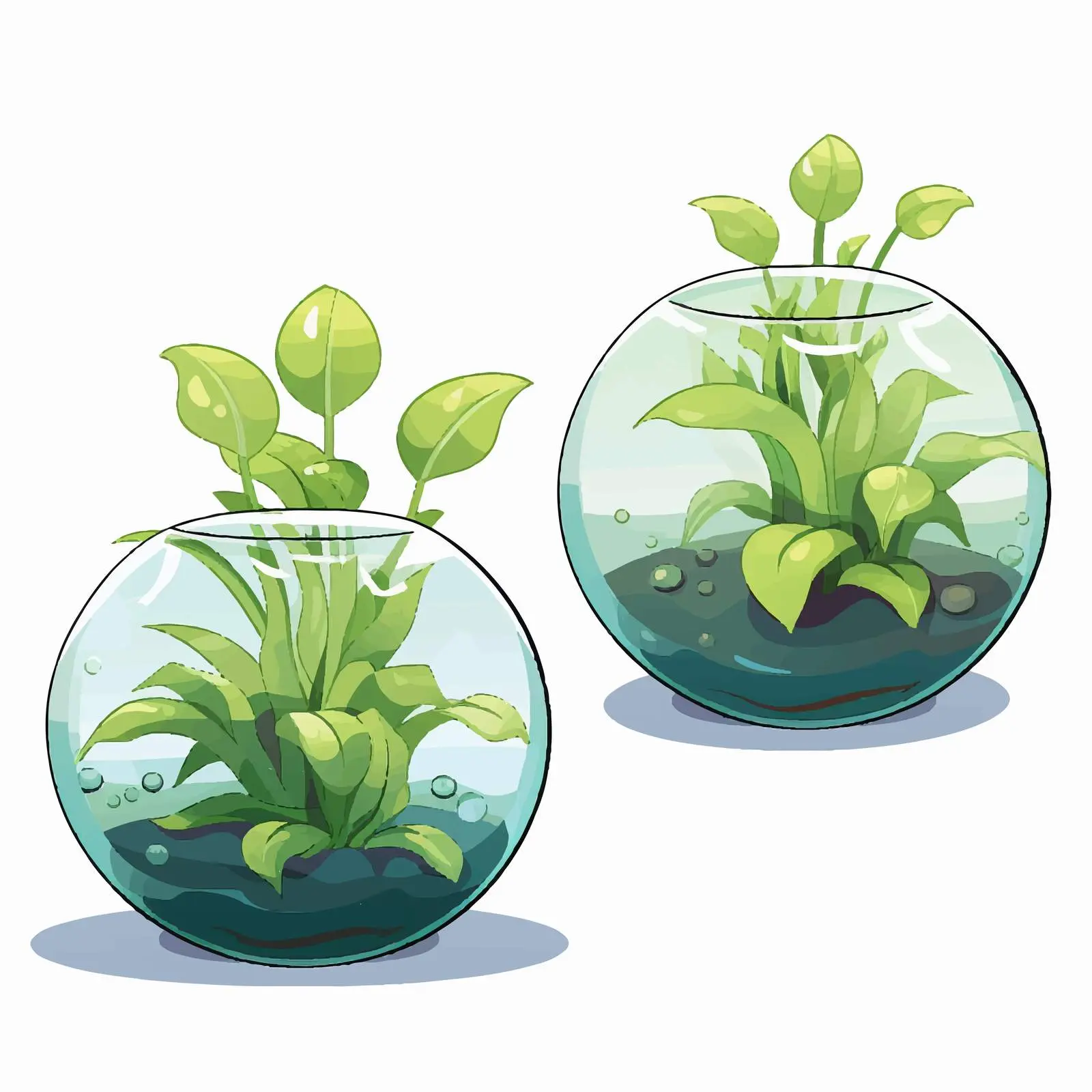 Spherical Water Plants and Algae Vector Art — free download from Dotvec