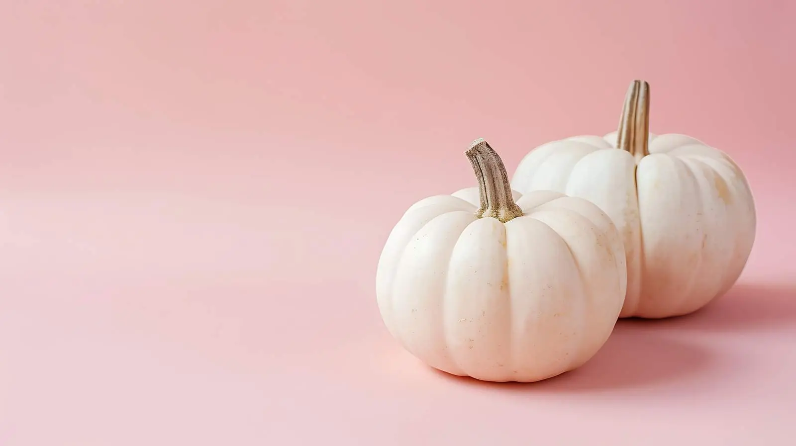 White Decorative Pumpkins on Pastel Pink Background – free festive decor image from Dotvec