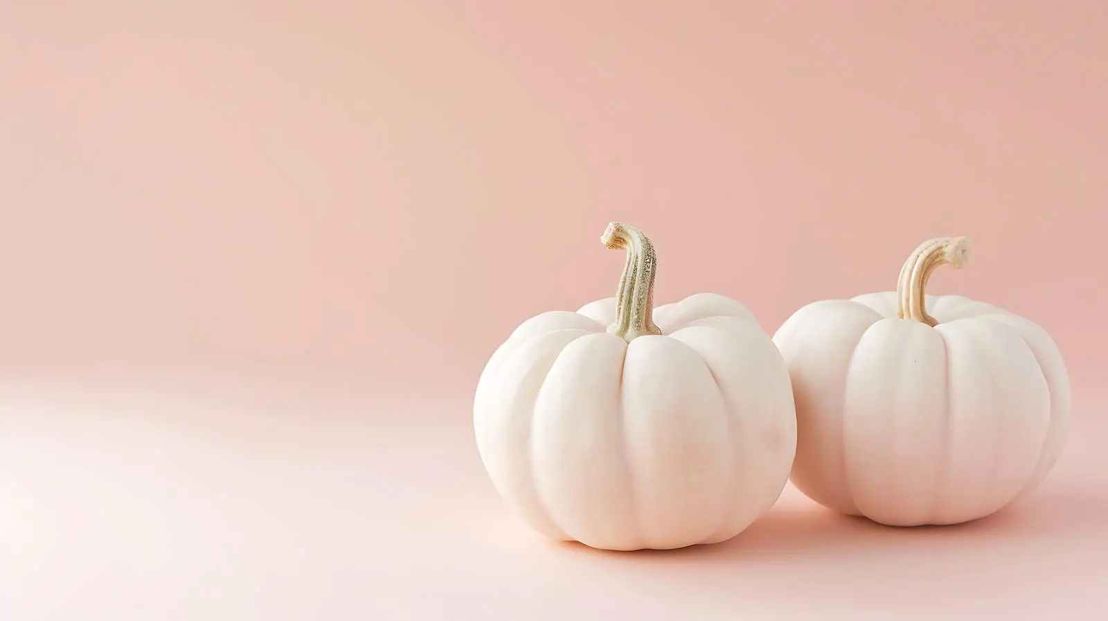 White Decorative Pumpkins on Pastel Pink Background – free pastel pink image from Dotvec
