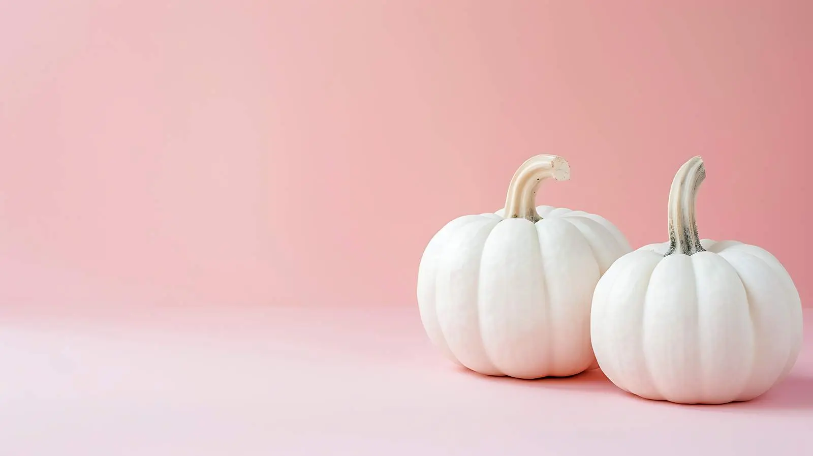 White Decorative Pumpkins on Pastel Pink Background – free festive decor image from Dotvec