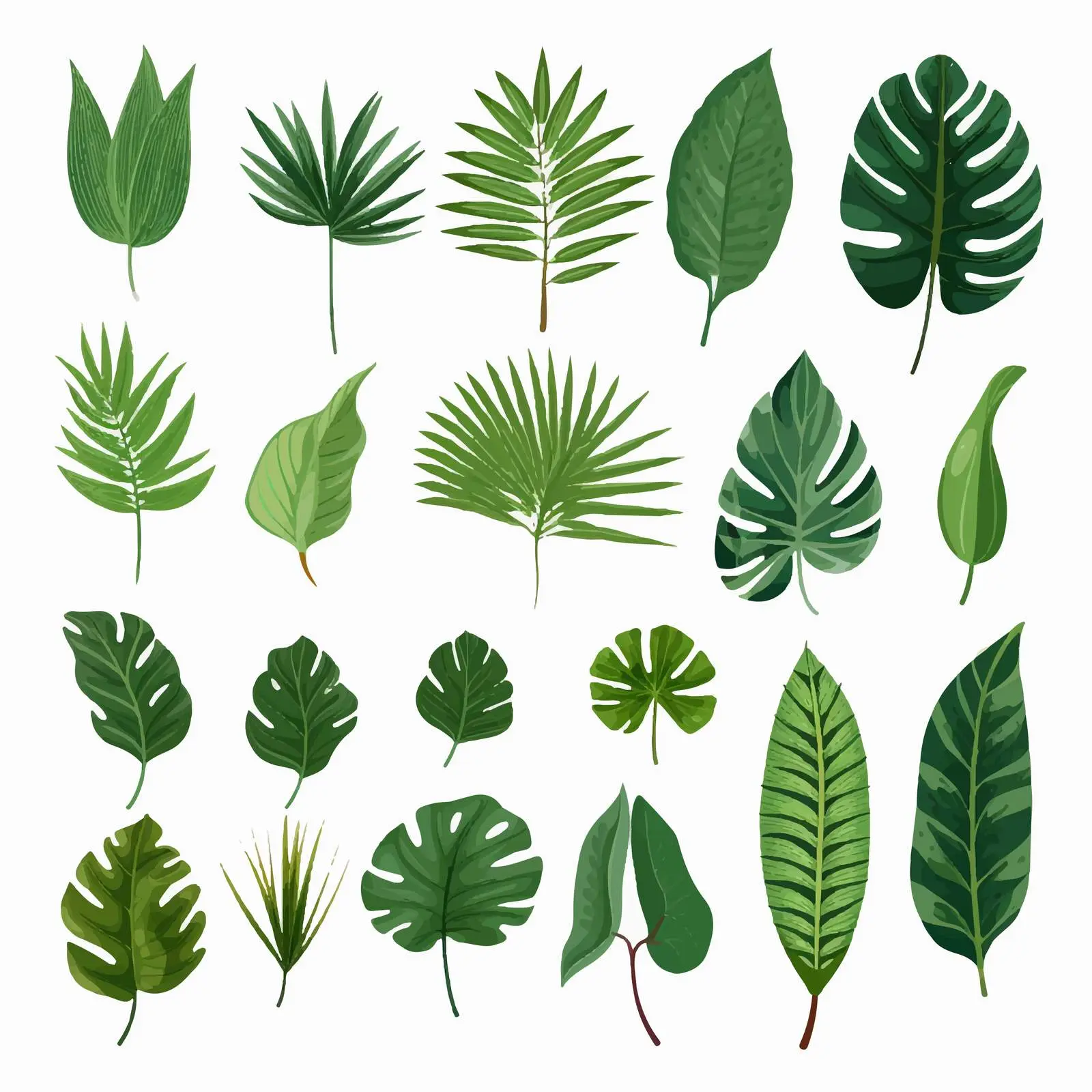 Tropical Leaves Illustration on Transparent Background – free botanical graphics image from Dotvec