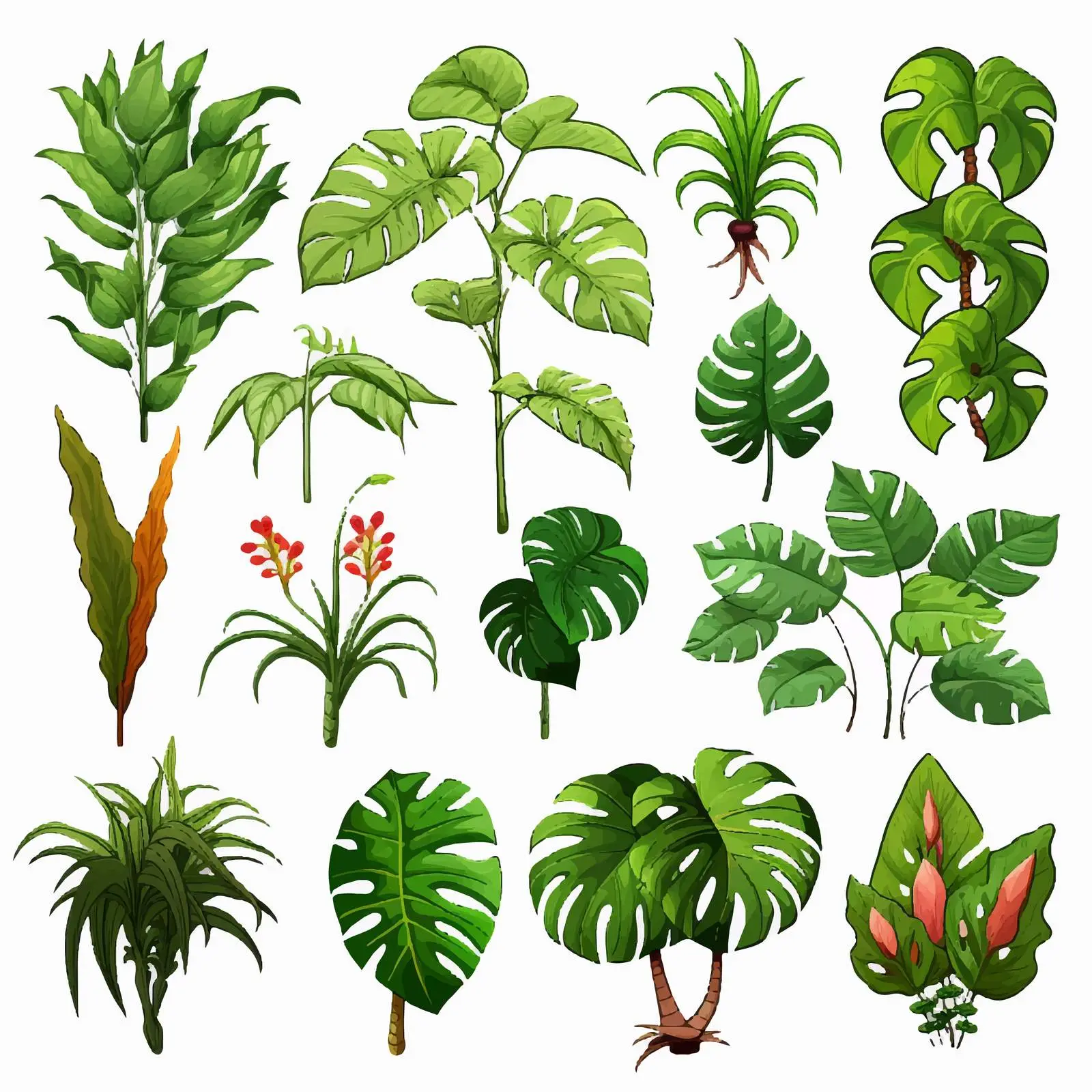 Tropical Plant Illustrations on Transparent Background — free download from Dotvec