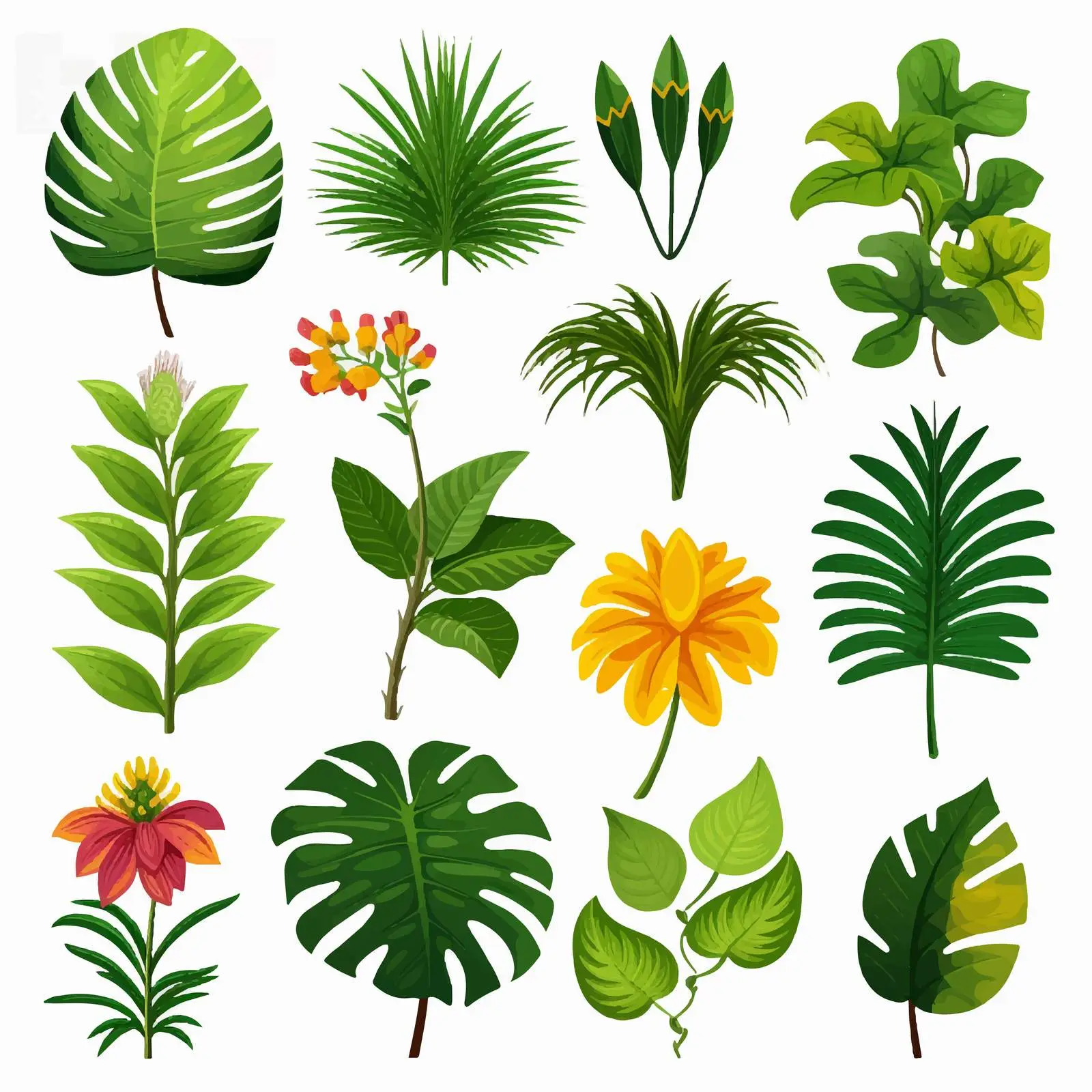 Tropical Plants Vector Illustration on Transparent Background — free download from Dotvec