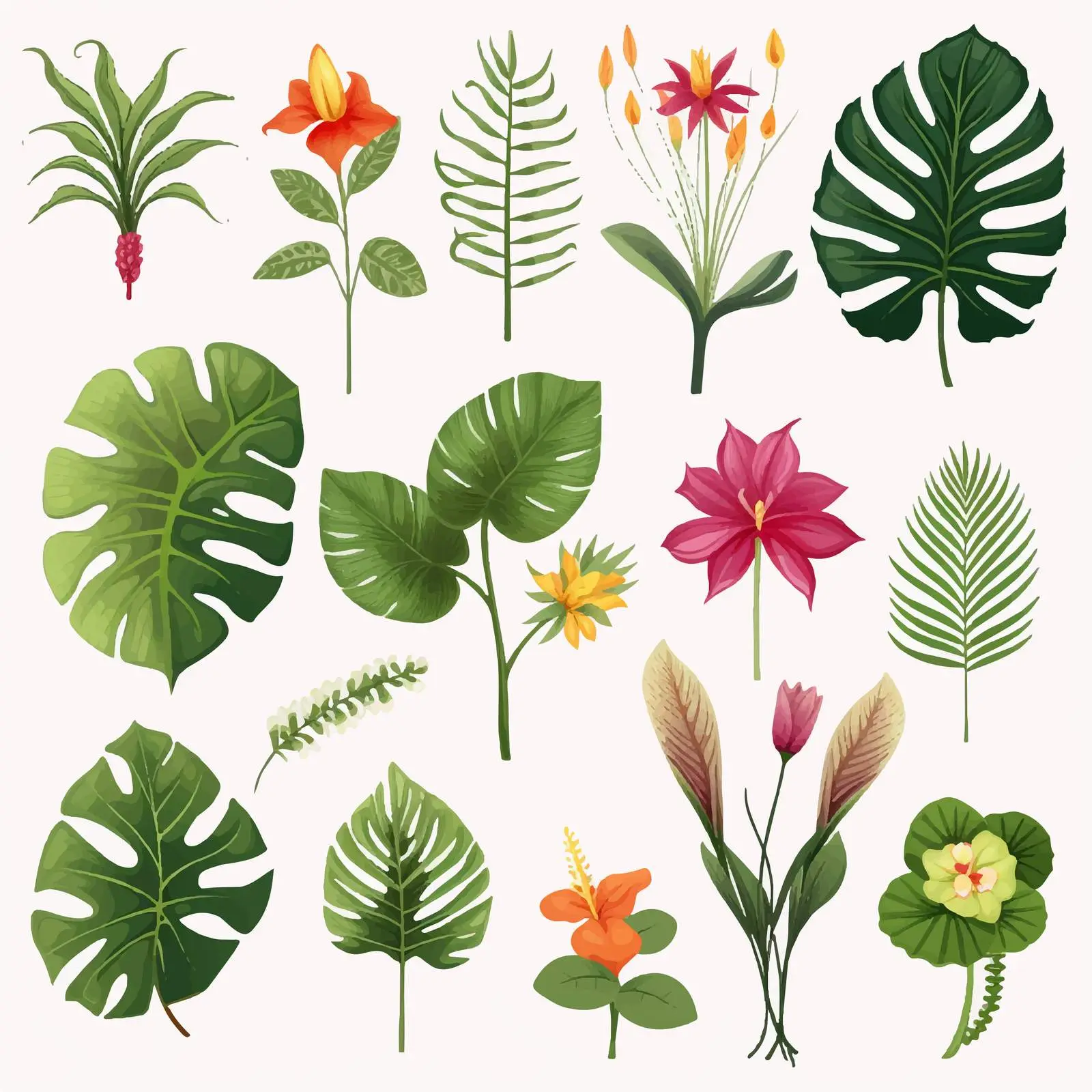 Tropical Plants Vector on Transparent Background – free artistic plants image from Dotvec