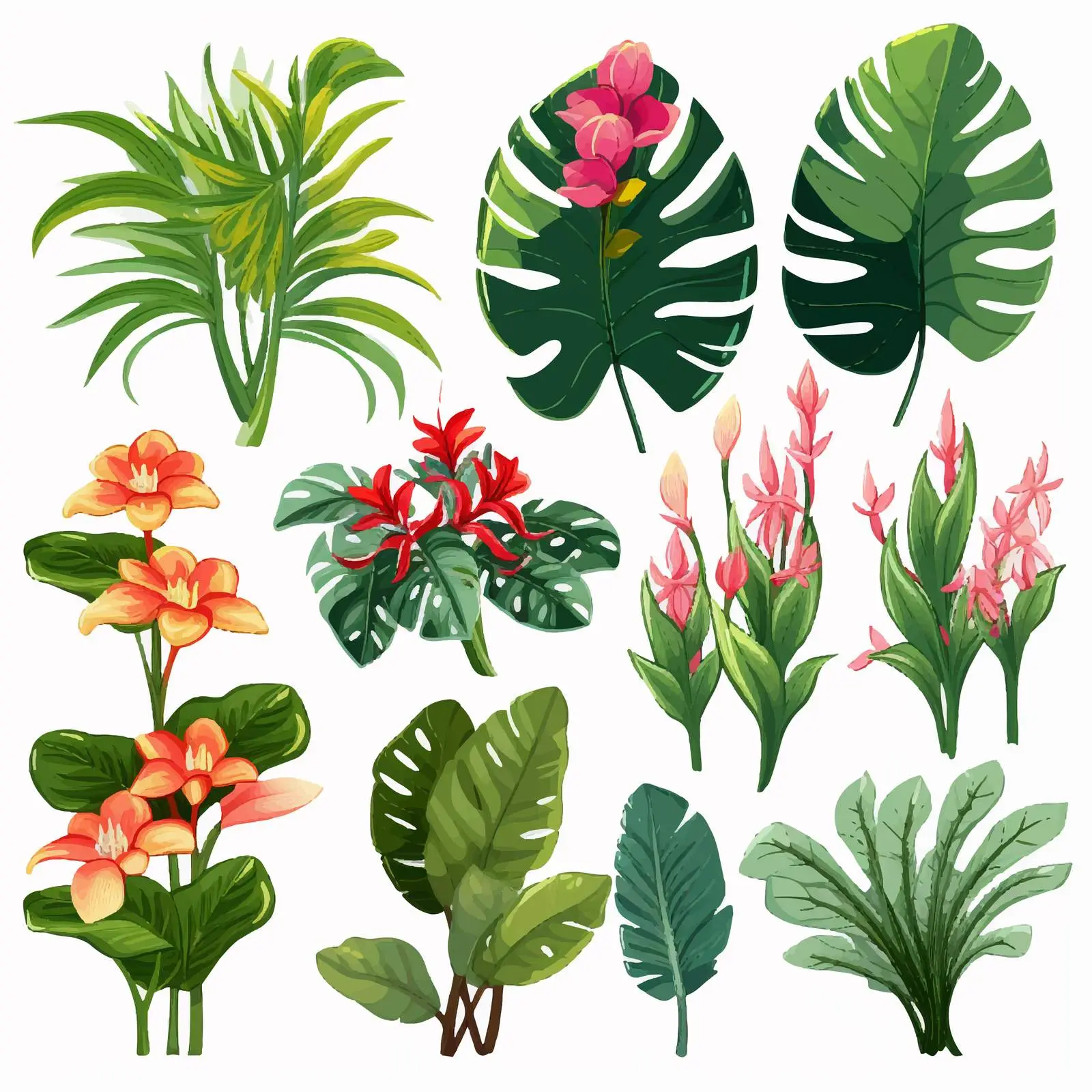 Tropical Plants Vector Illustration on Transparent Background — free download from Dotvec