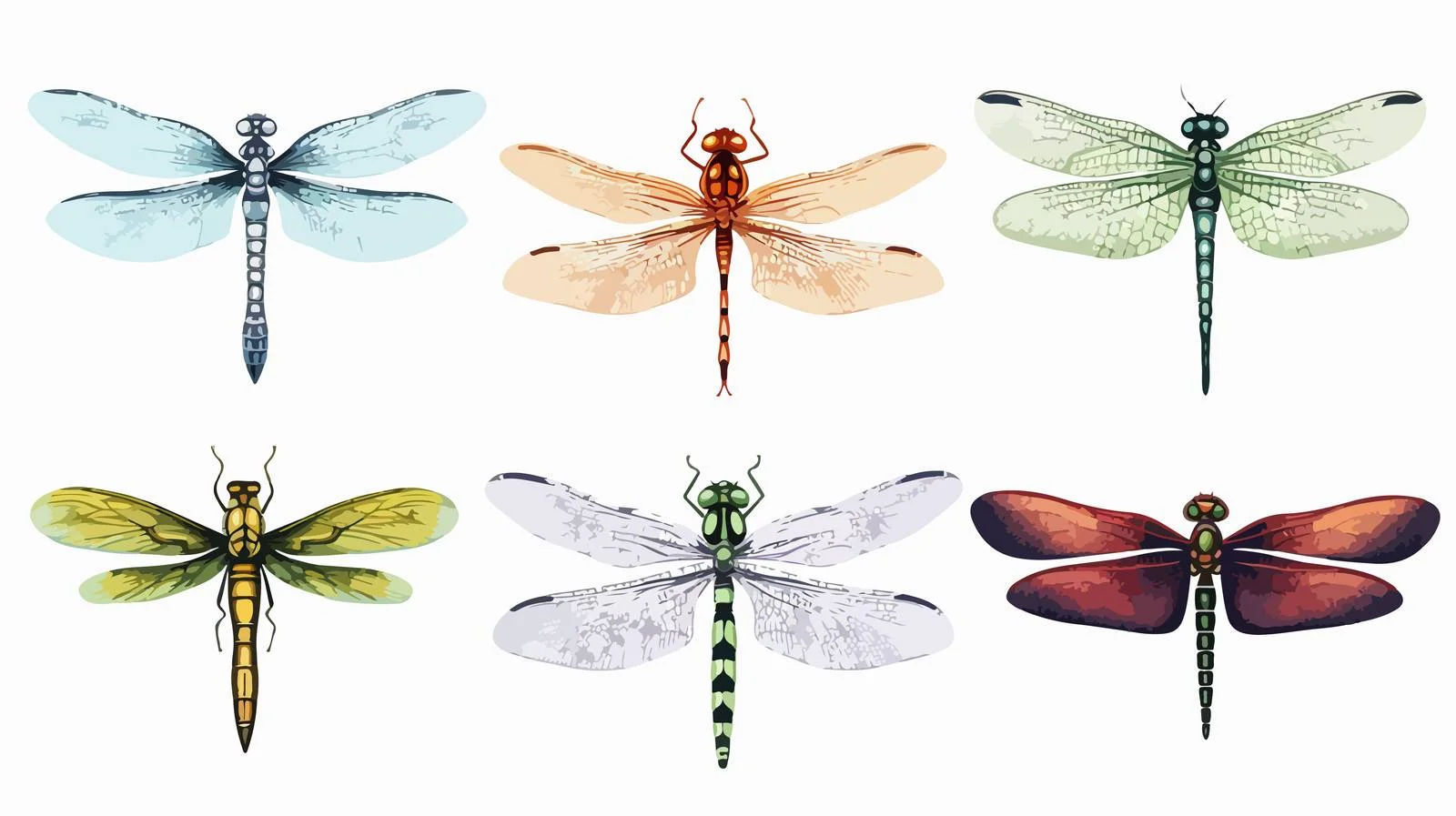 Vibrant Dragonflies Displaying Varied Poses Outdoors — free download from Dotvec