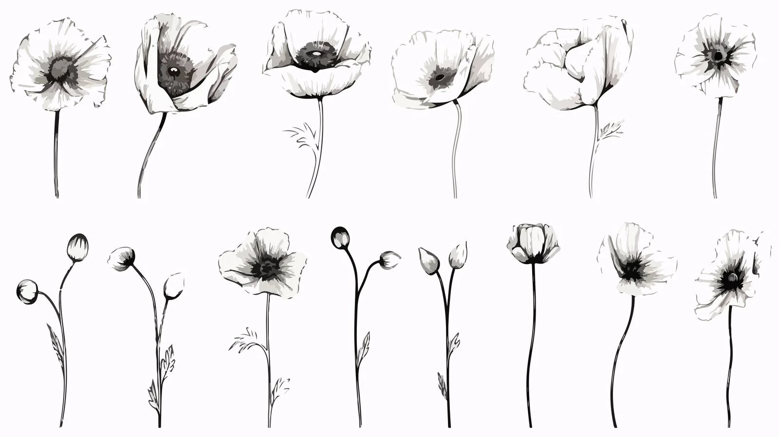 Elegant Contour Flower Selection in Monochrome — free download from Dotvec