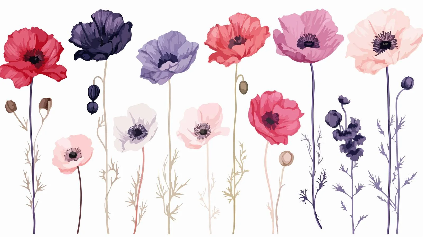 Elegant Poppy Floral Contour Collection — free download from Dotvec
