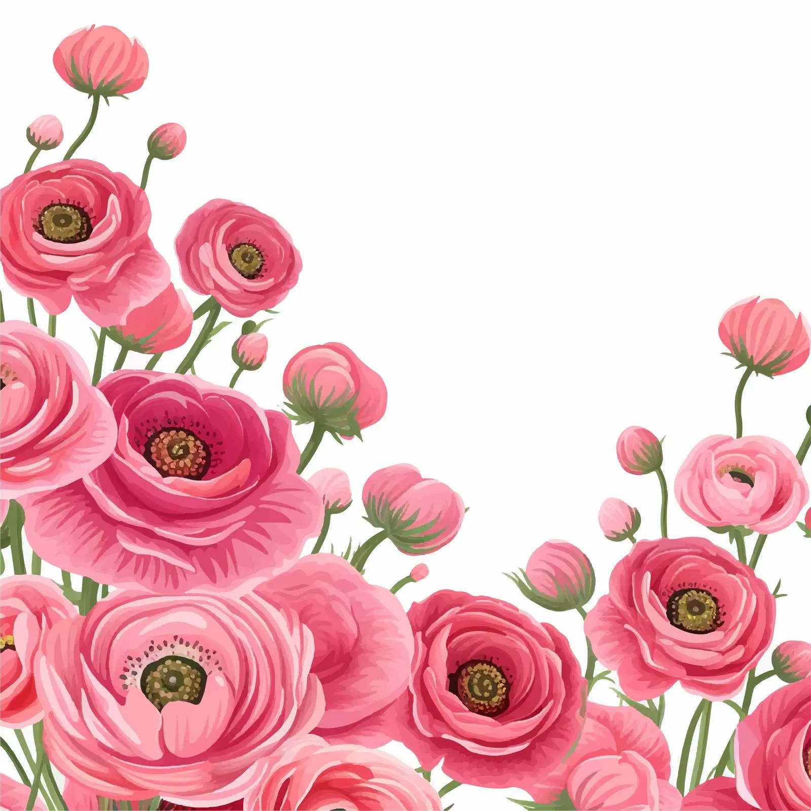Pink Ranunculus Floral Vector Background for Weddings — free download from Dotvec