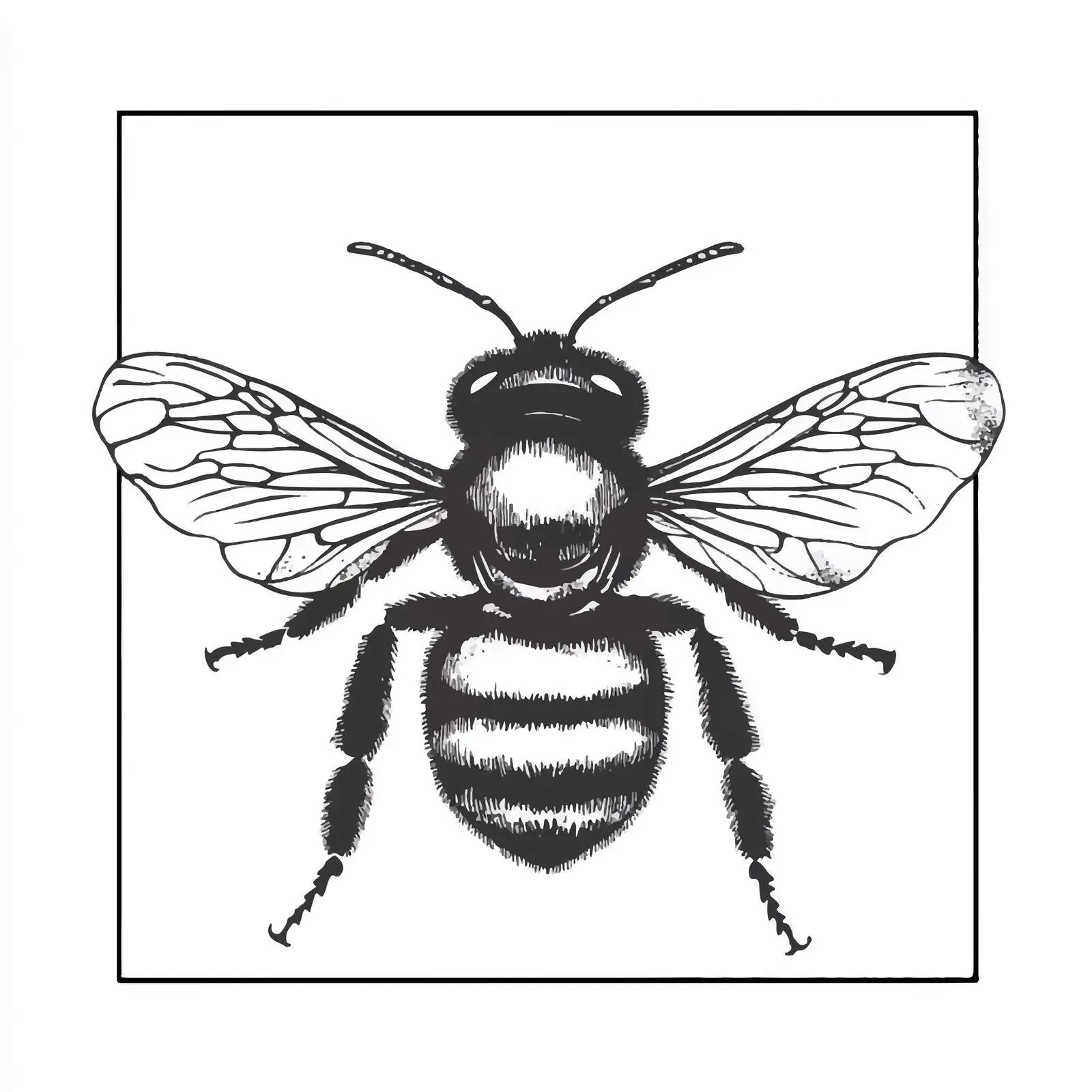 Black and White Flat Bee Vector Illustration — free download from Dotvec