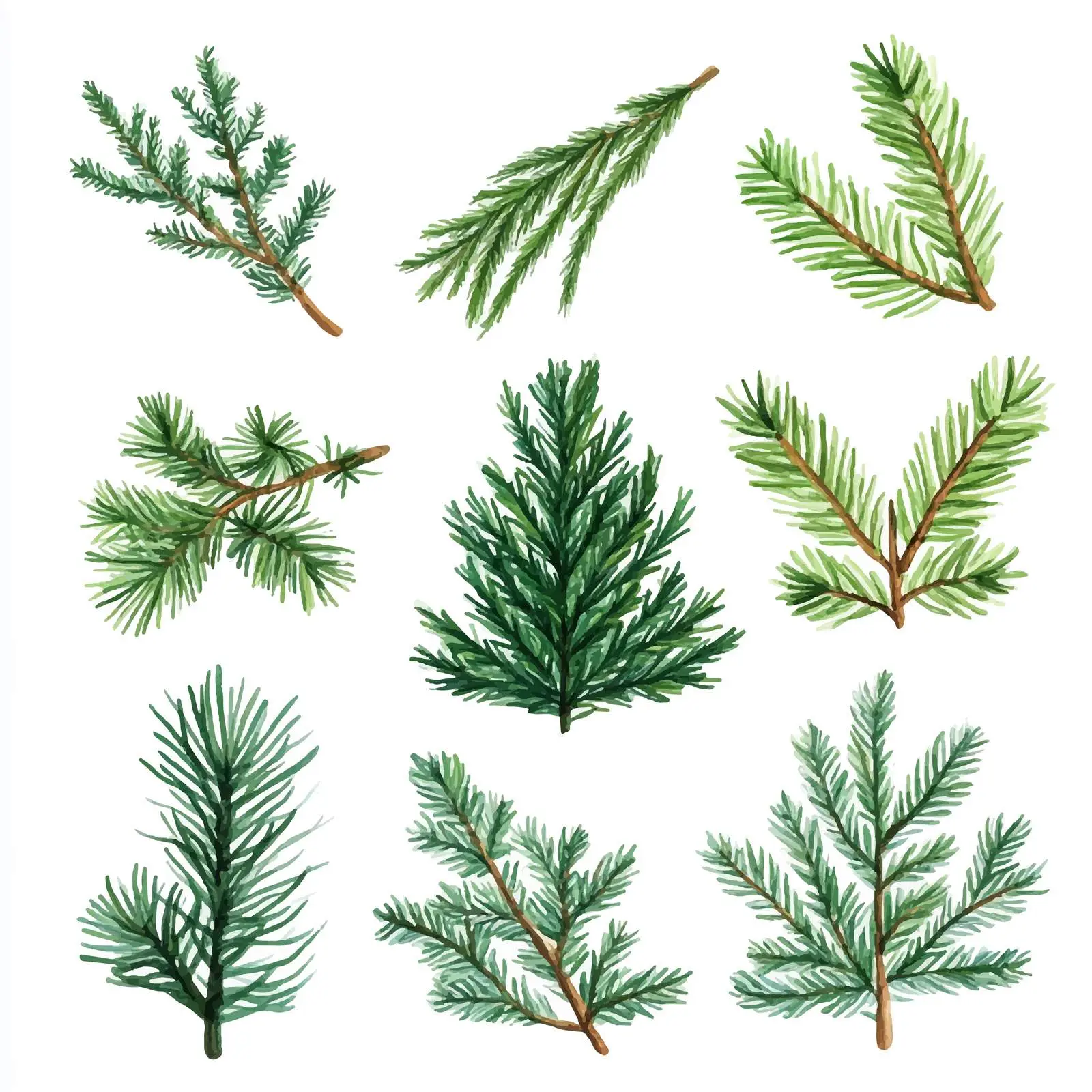 Natural Green Vector Elements Collection — free download from Dotvec