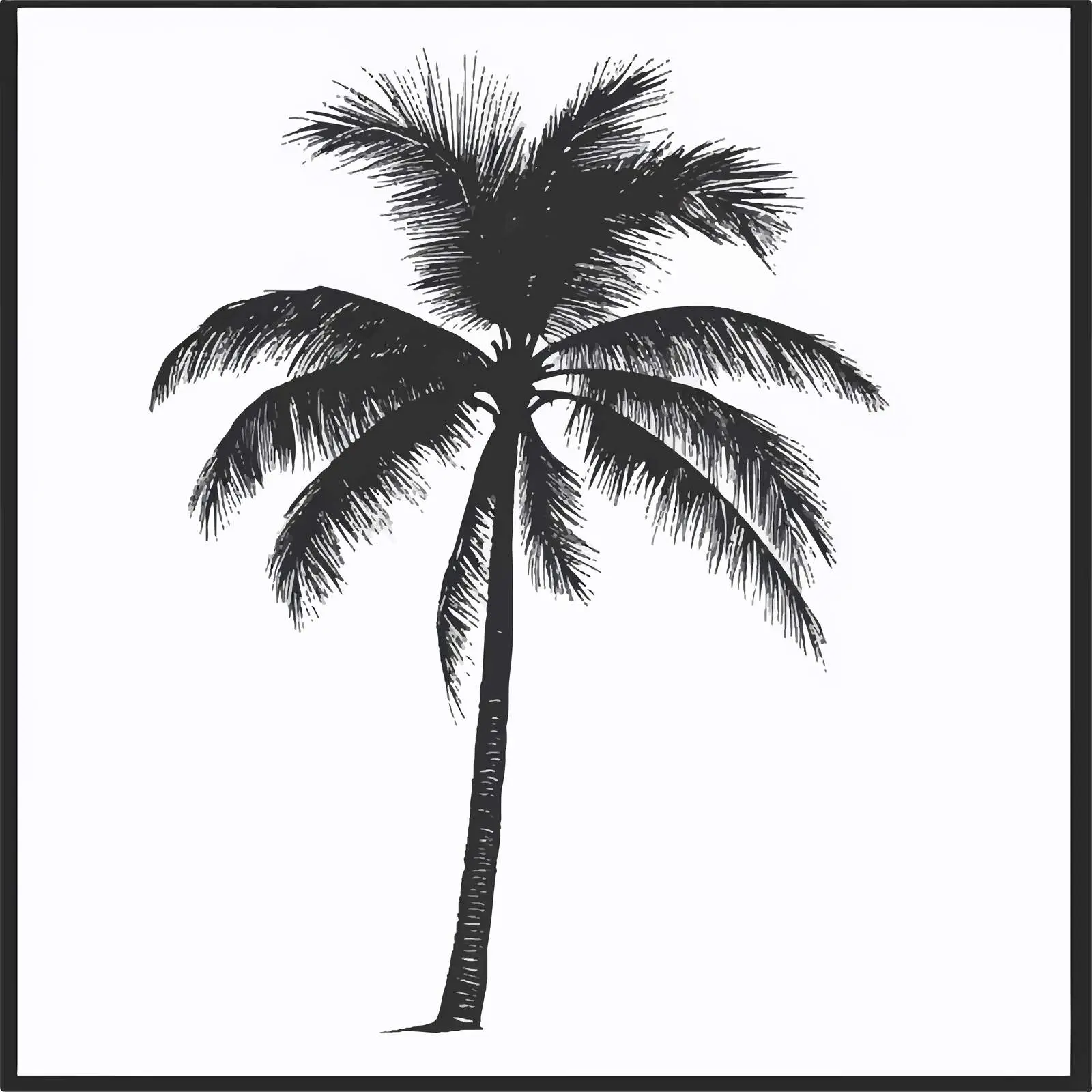 Flat Palm Tree Vector Graphics on White Background — free download from Dotvec