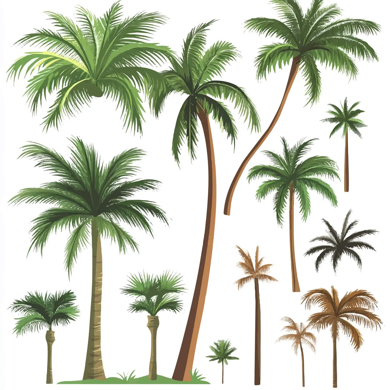 Palm Tree Vector Graphics Set on White Background — free download from Dotvec